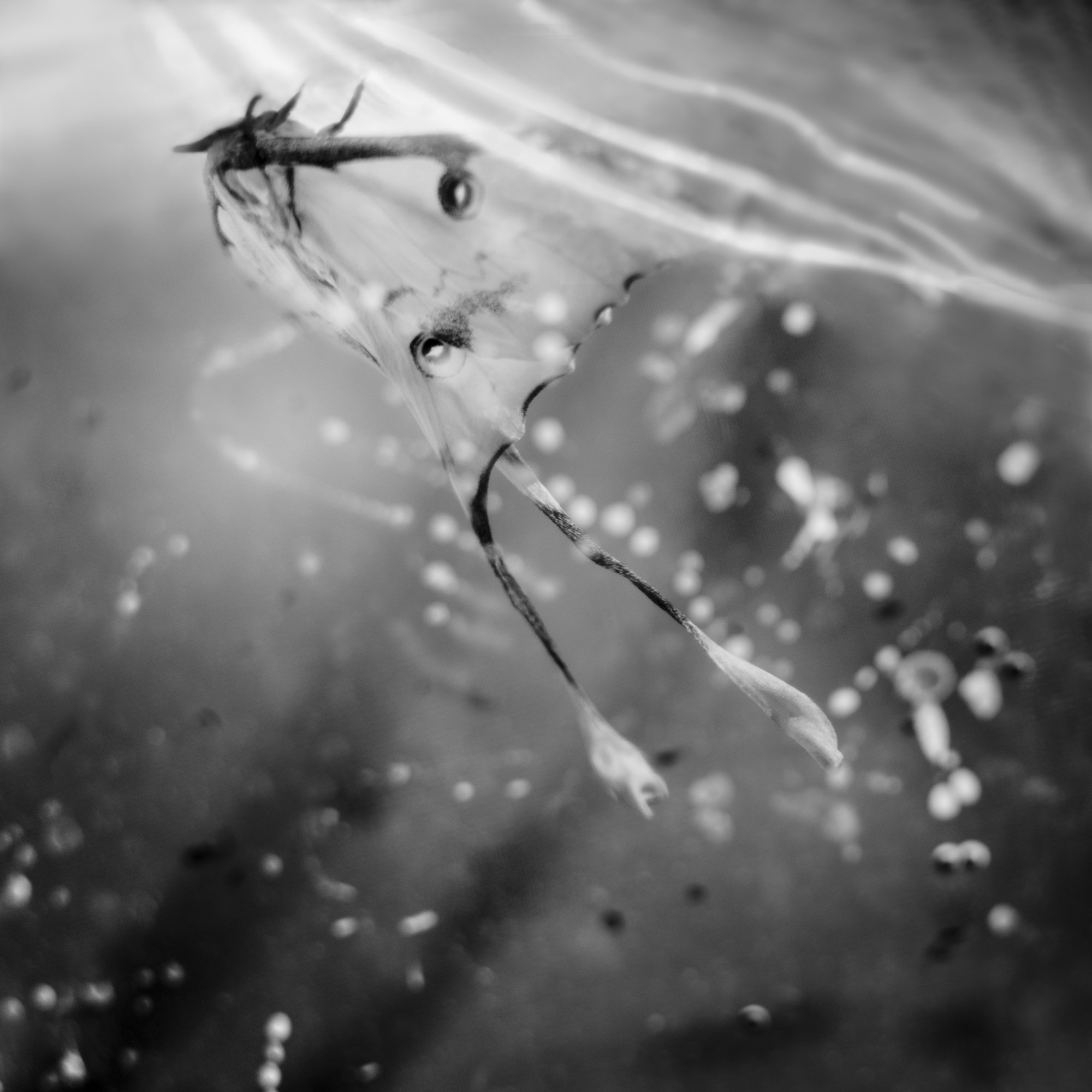 untitled26.jpg