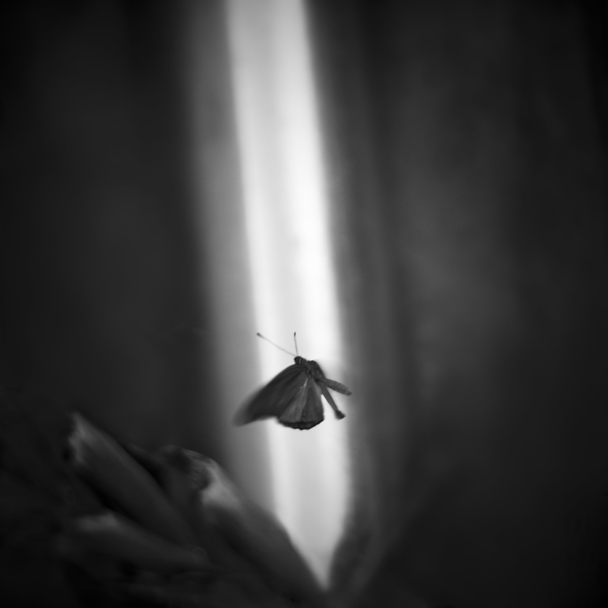 untitled27.jpg
