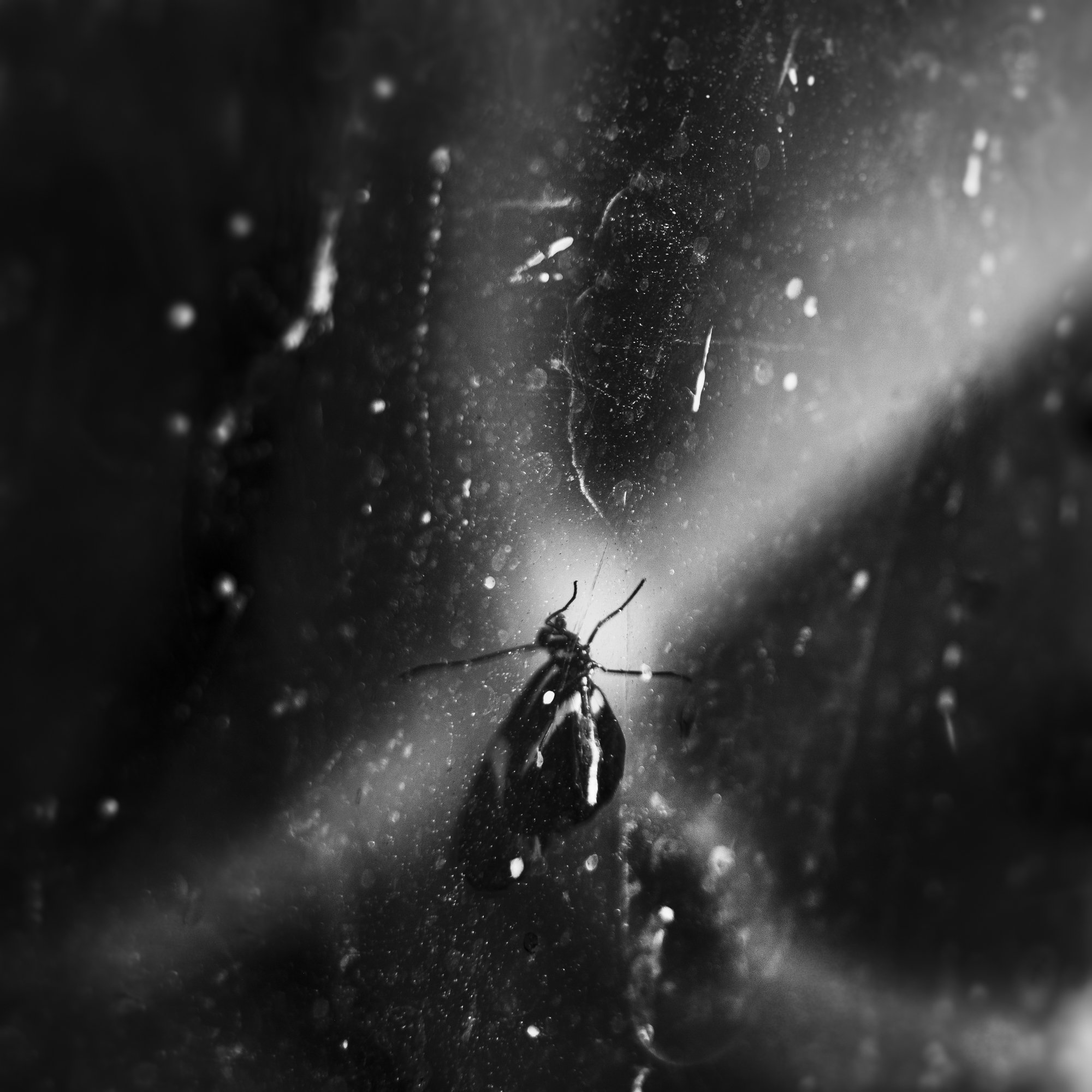 untitled29.jpg