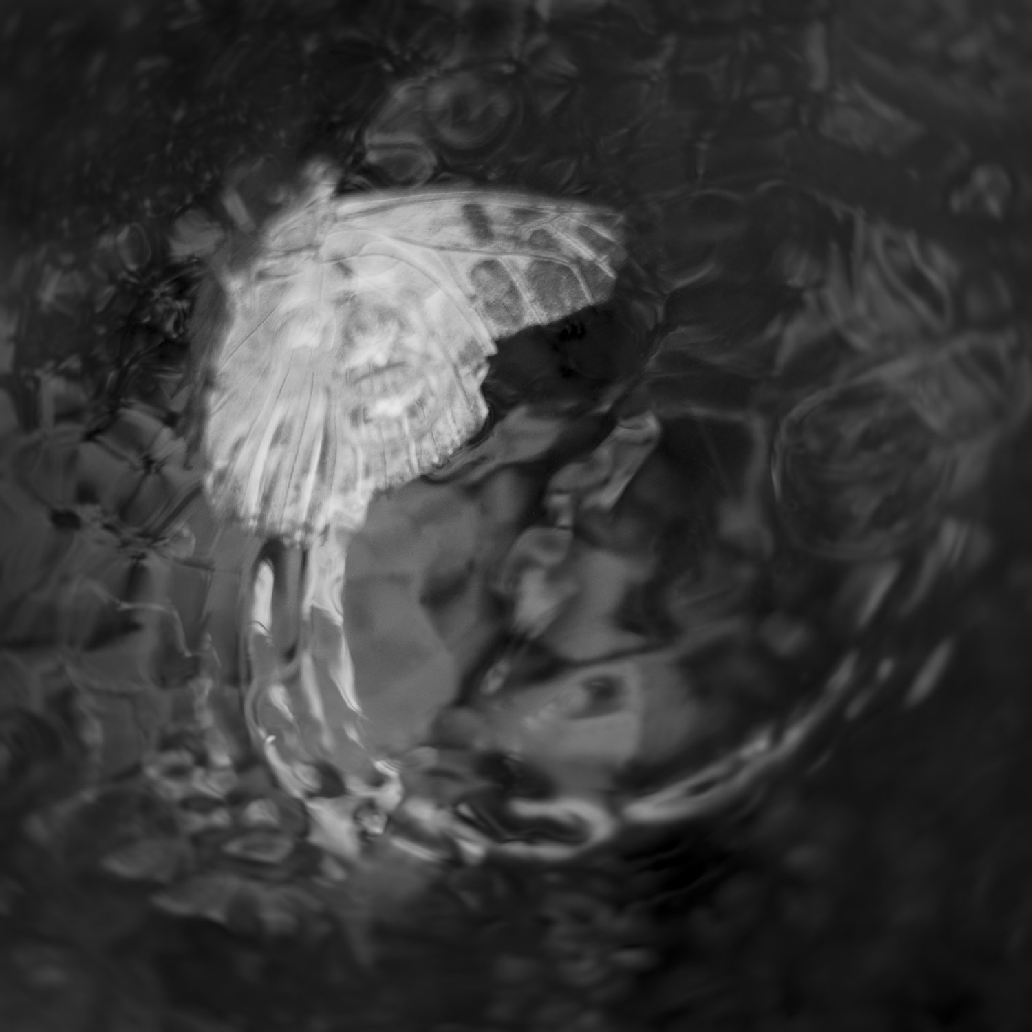 untitled28-2.jpg