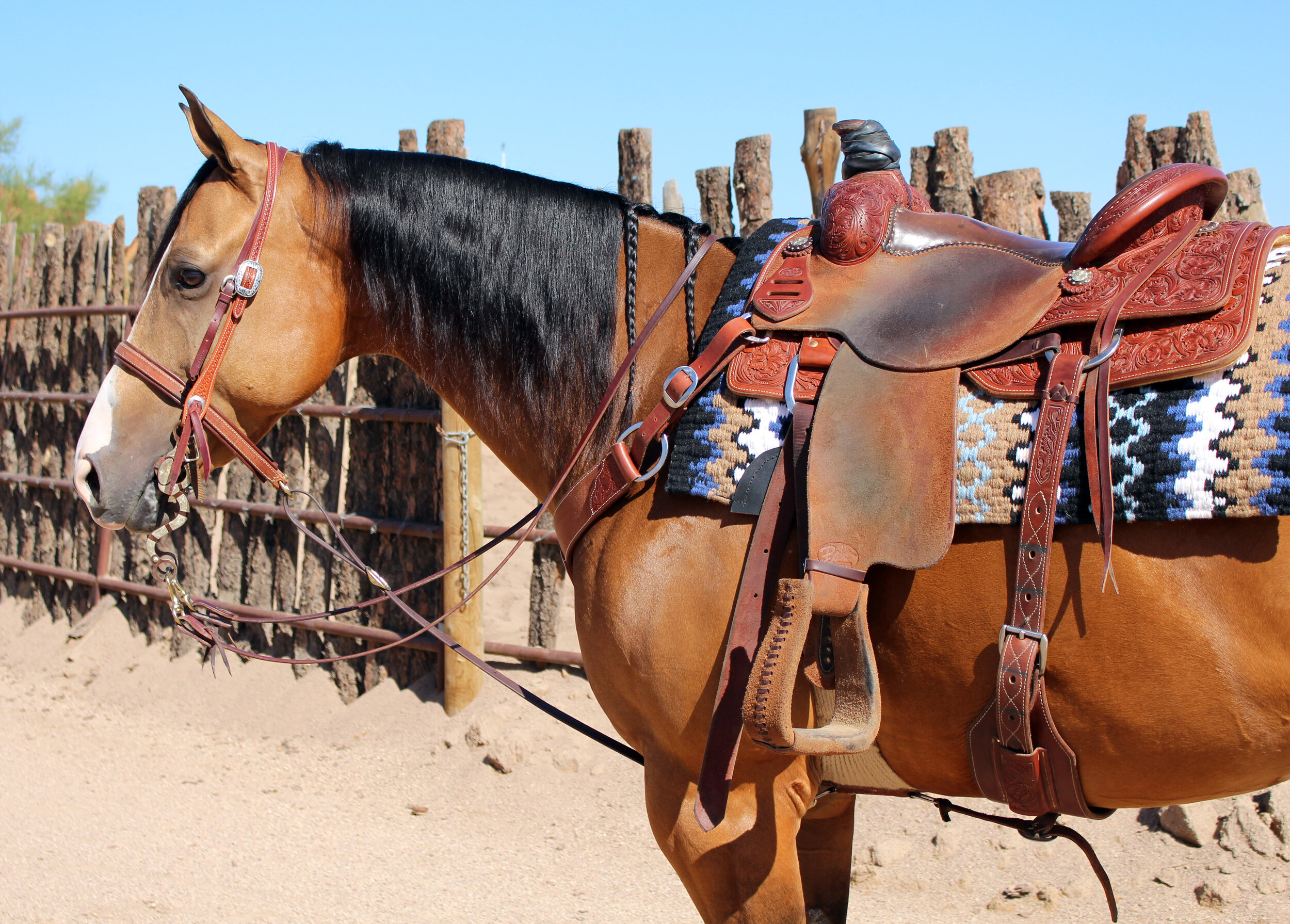 1 Custom Saddles  We Make Saddles To Suit Your Needs