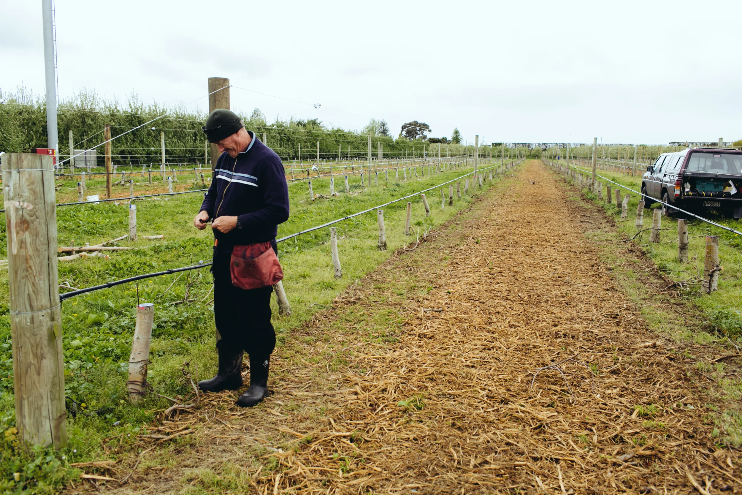 Shiloh_Grafting_PhotoNaomiJorge_025.jpg