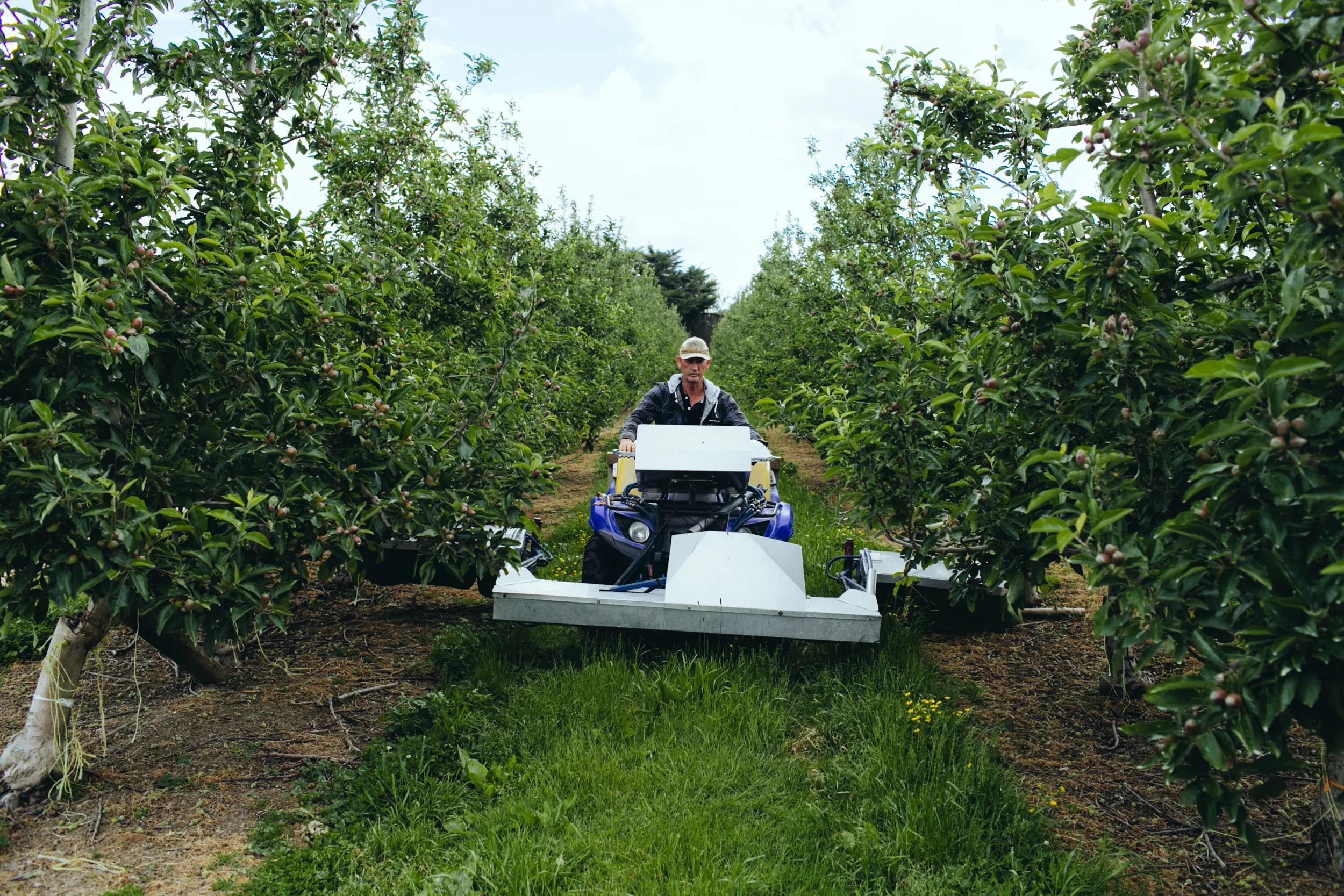 Shiloh_Spraying_PhotoNaomiJorge_034.jpg