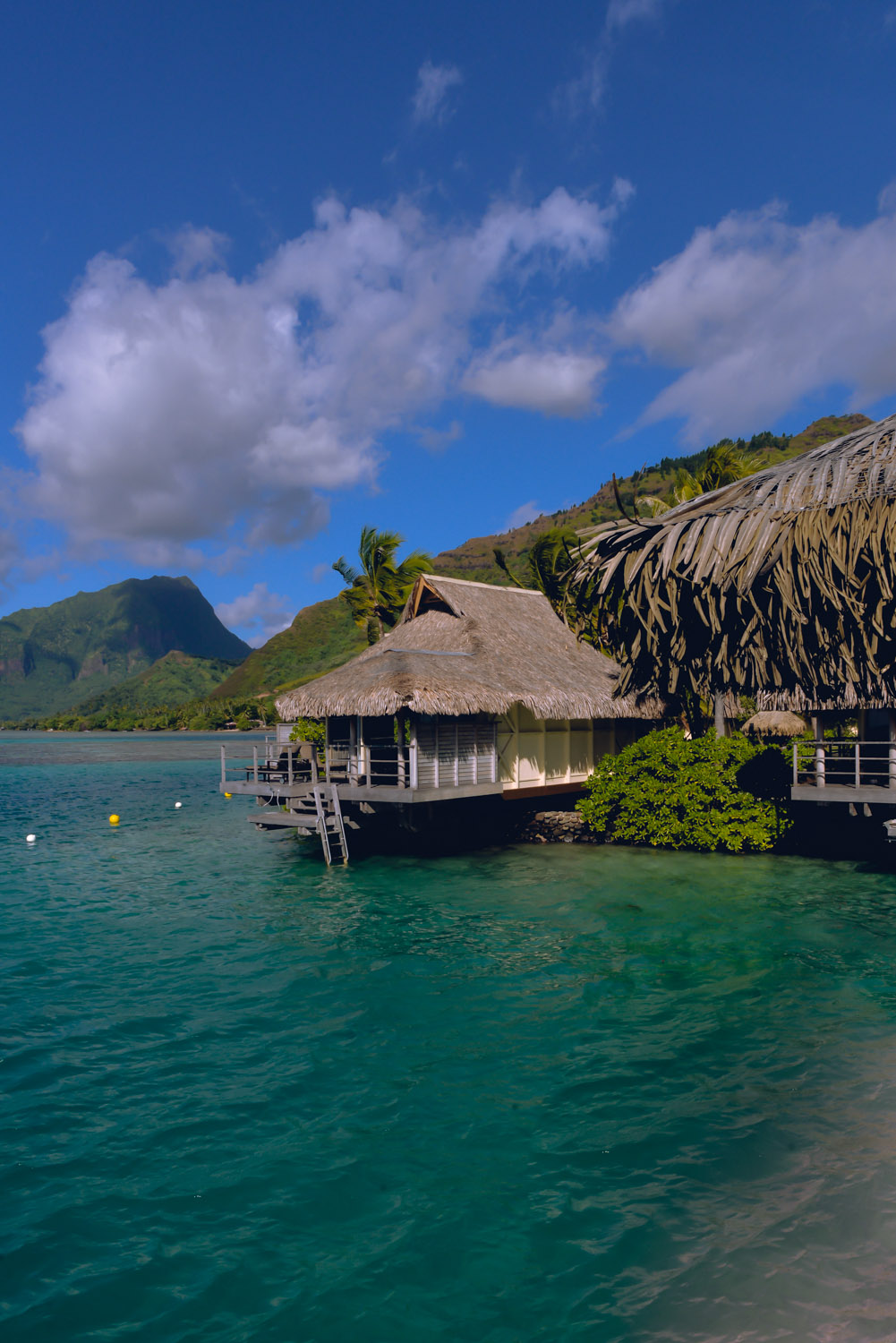 French Polynesia - Hotel Sofitel Moorea Ia Ora Beach Resort - Honeymoon