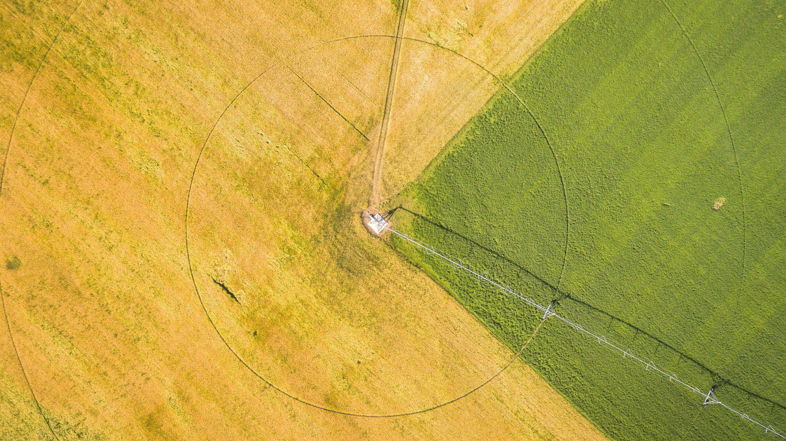 DJI_0469.JPG