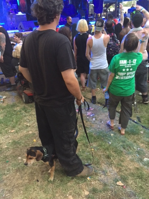 Look for this in my soon-to-be-famous "Dogs of the Gathering" Tumblr page.