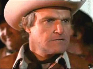 85f3e7b7d5e3815f5ec5a6ce8cfd99a5--charles-napier-blues-brothers.jpg