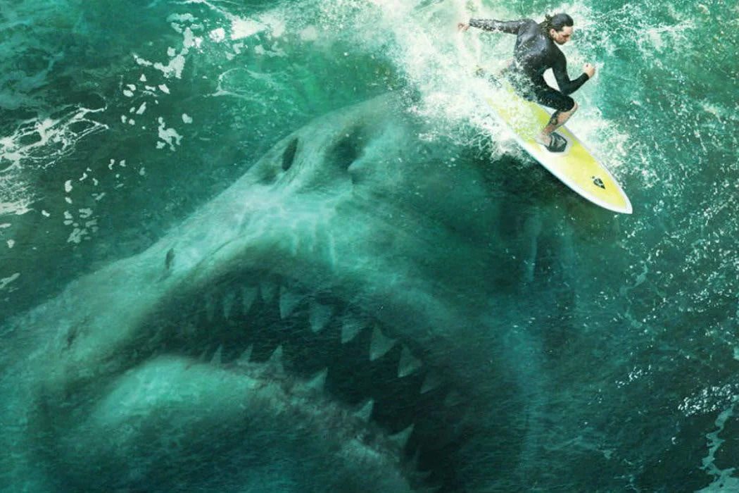 the-meg.jpg
