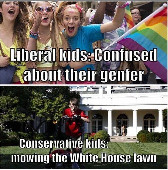 And the award for stupidest meme goes to…