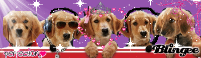 giphy-7.gif