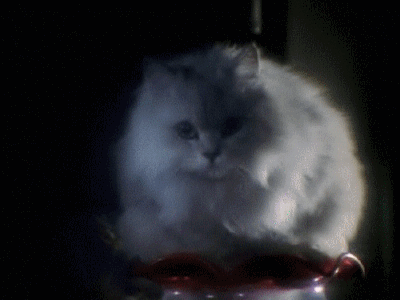 tumblr_nwu6ljqKFE1u4p90no1_400.gif
