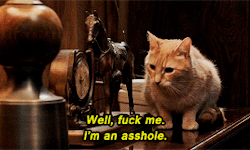tumblr_o2woxi18mr1to86yio1_250.gif
