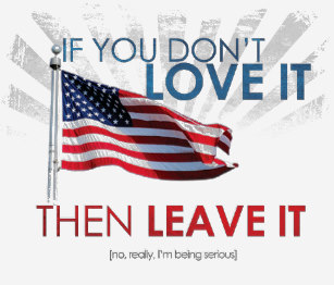 if_you_dont_love_america_then_leave_it_t_shirt-r7f6fb58256f1496aaacd40049838bf67_k2gr0_307.jpg