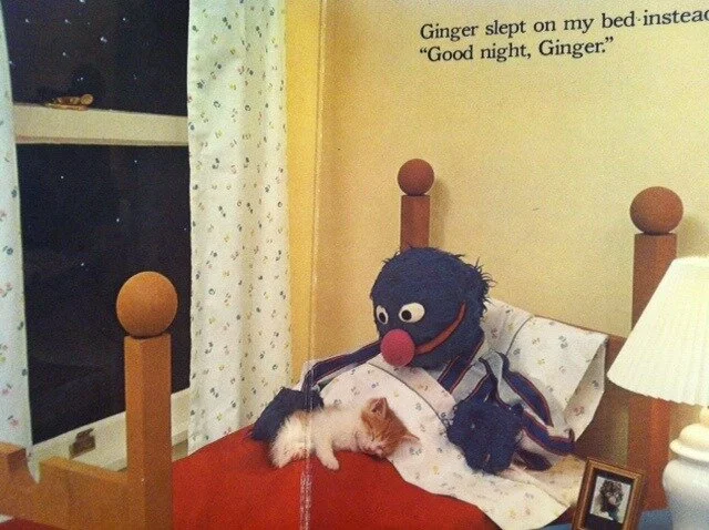 Ginger the kitty is sleeping with Grover! Is that not too much! How can one stationary puppet be so expressive and overflowing with love?