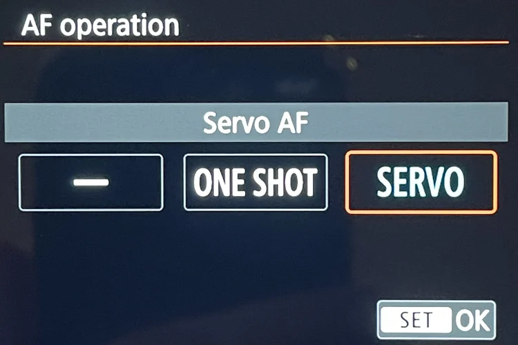 Optimal Focus Setup for the Canon EOS R5 and R6