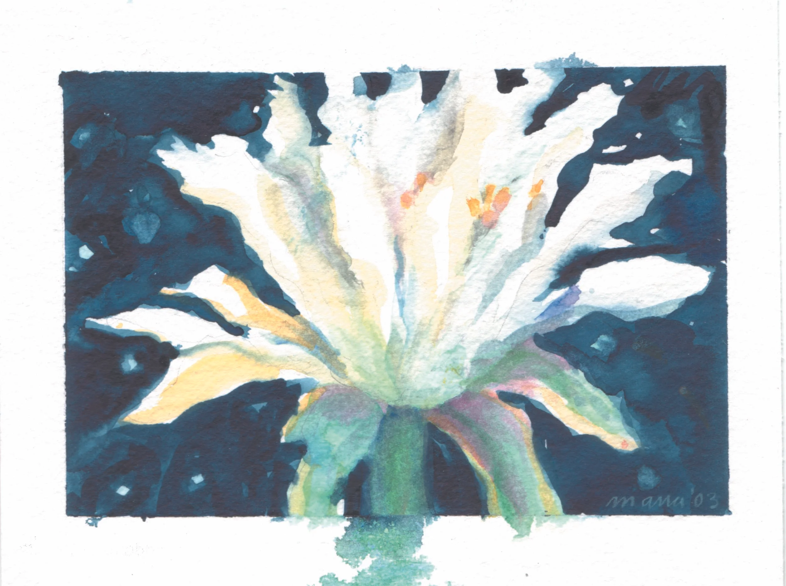 Night Bloomer (4"x7")