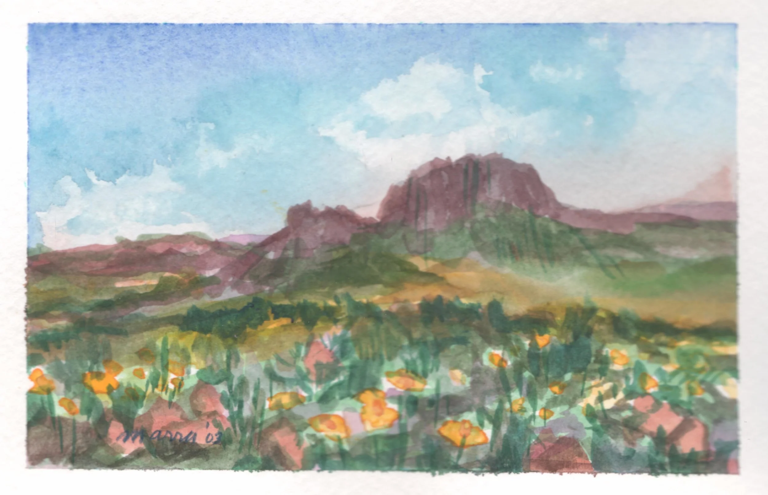 Mexican Poppies (4"x7")