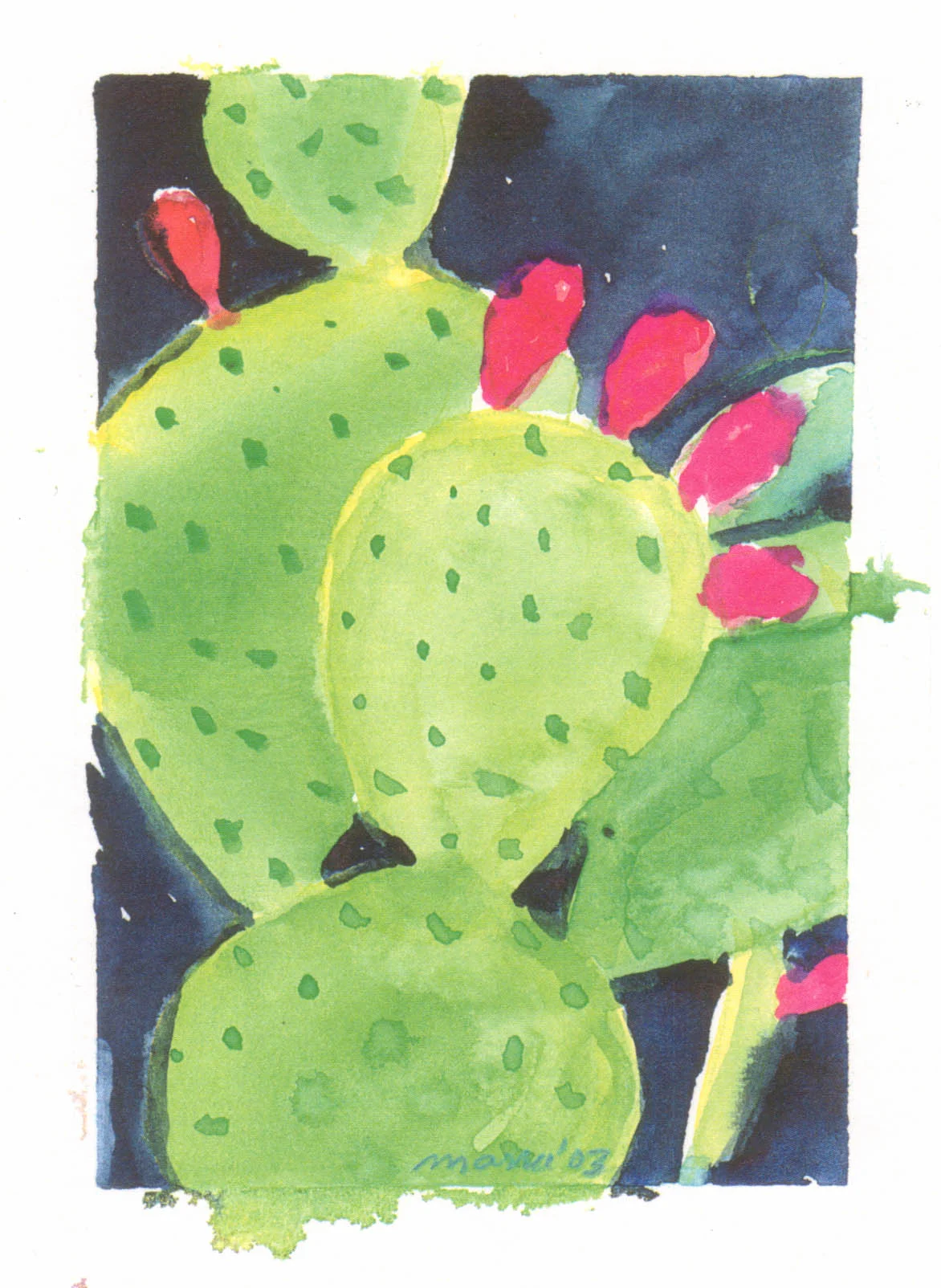 Prickly Pear Fruit (4"x7")