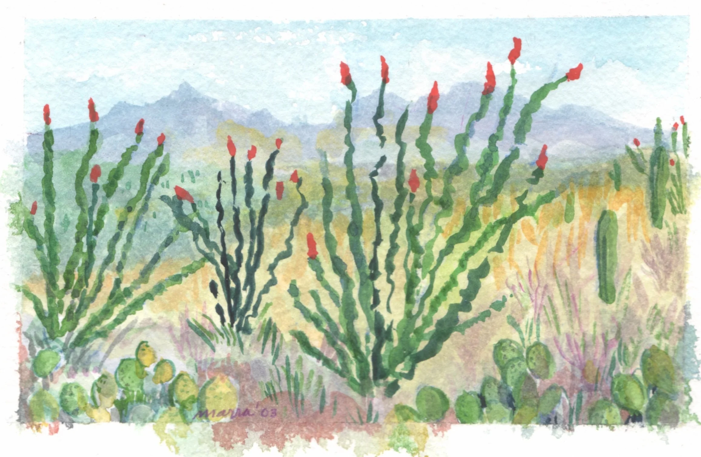 Occatillo Bloom (4"x7")