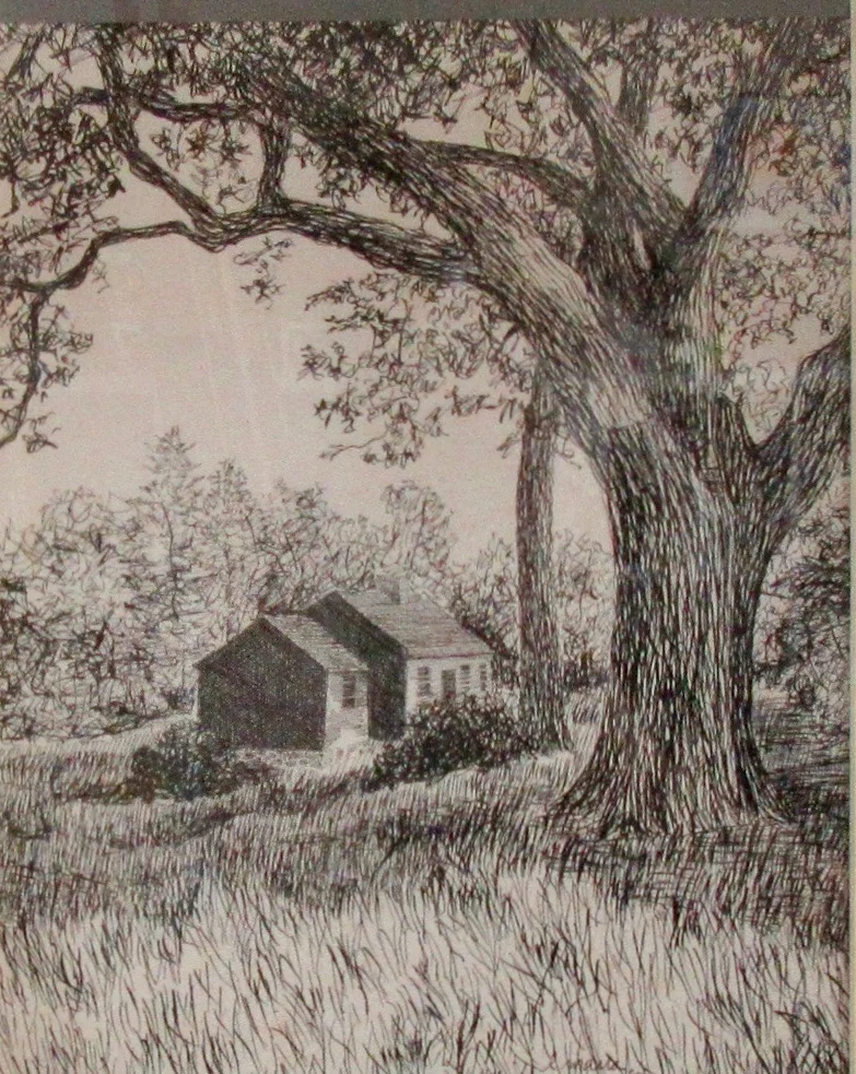 Tree Sketch (10"x9")