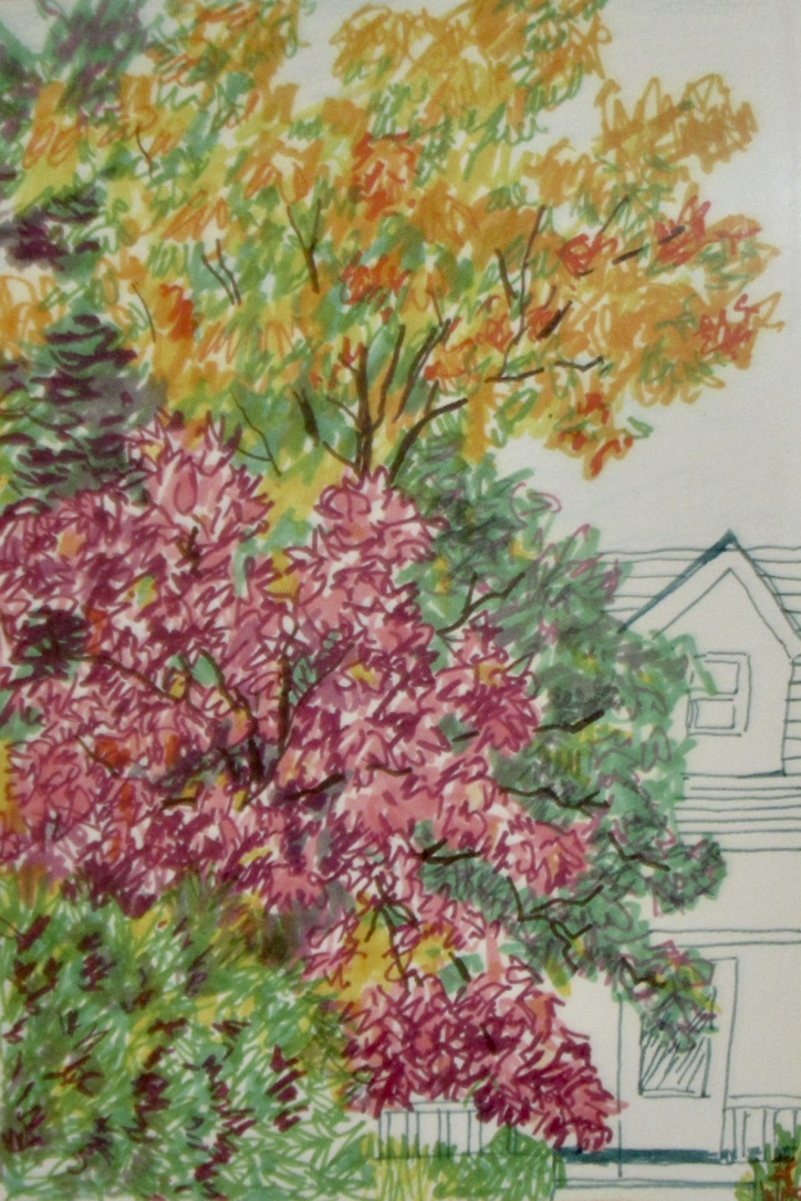 Autumn on Symmes (8"x11")