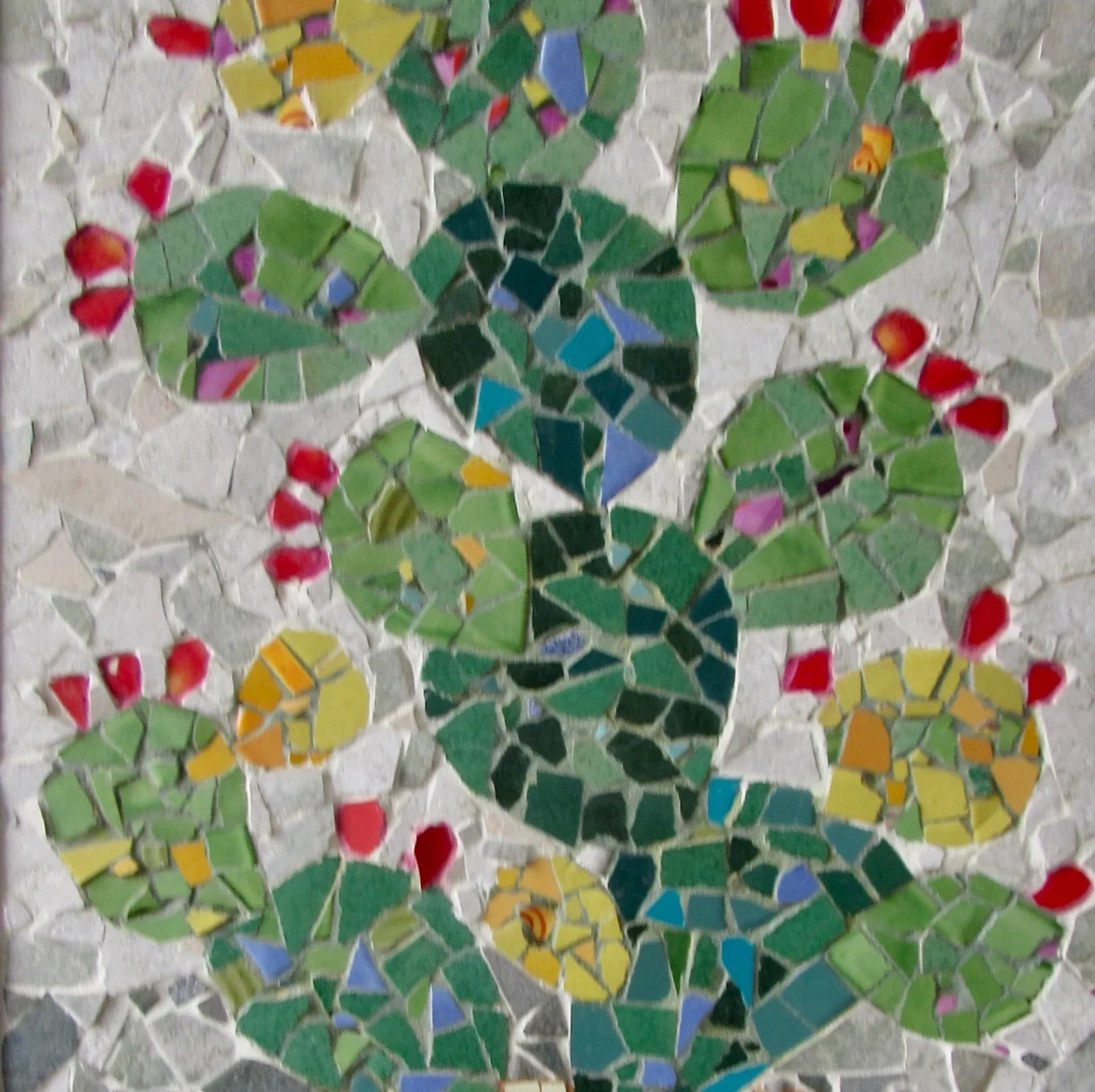 Prickly Pear