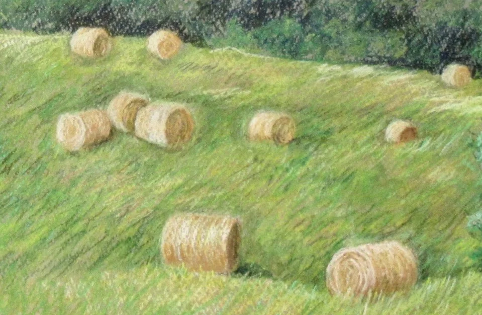 Back 40, Longmeadow (detail)