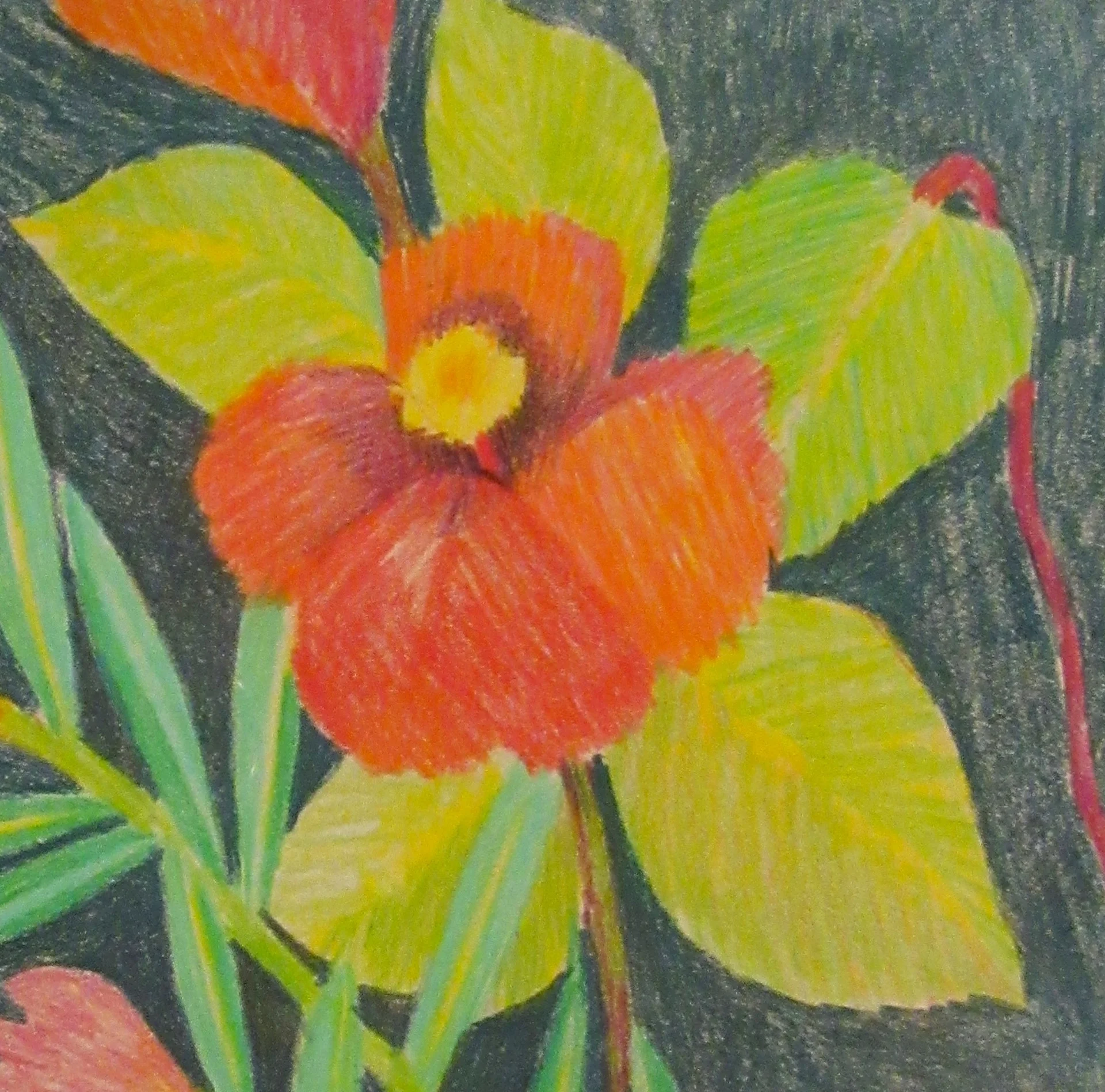 Key West Blooms (detail)