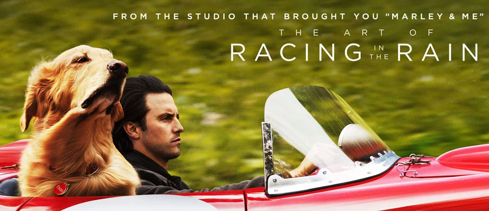 Avants & The Art of Racing in The Rain