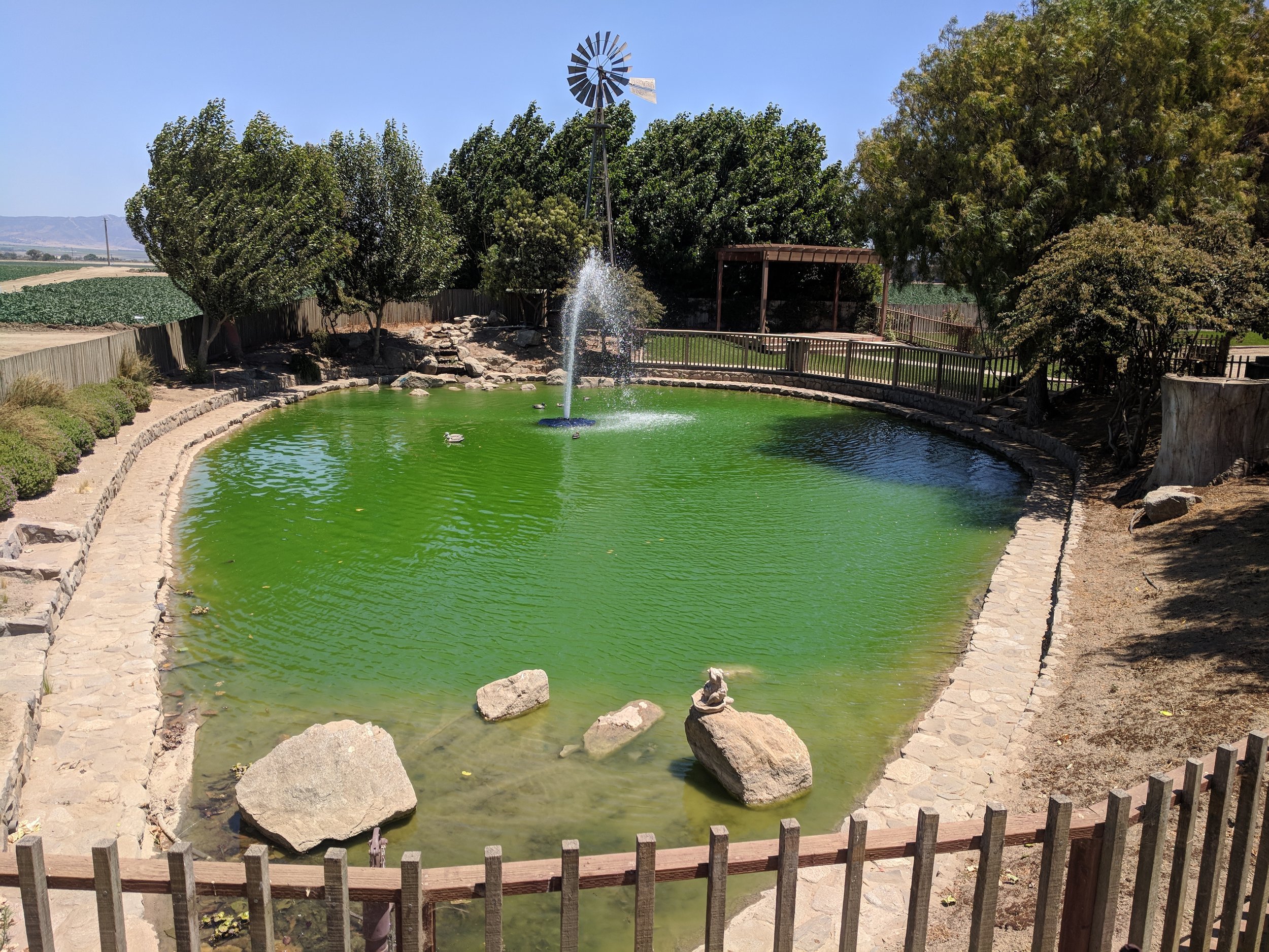IMG_20180701_133713.jpg