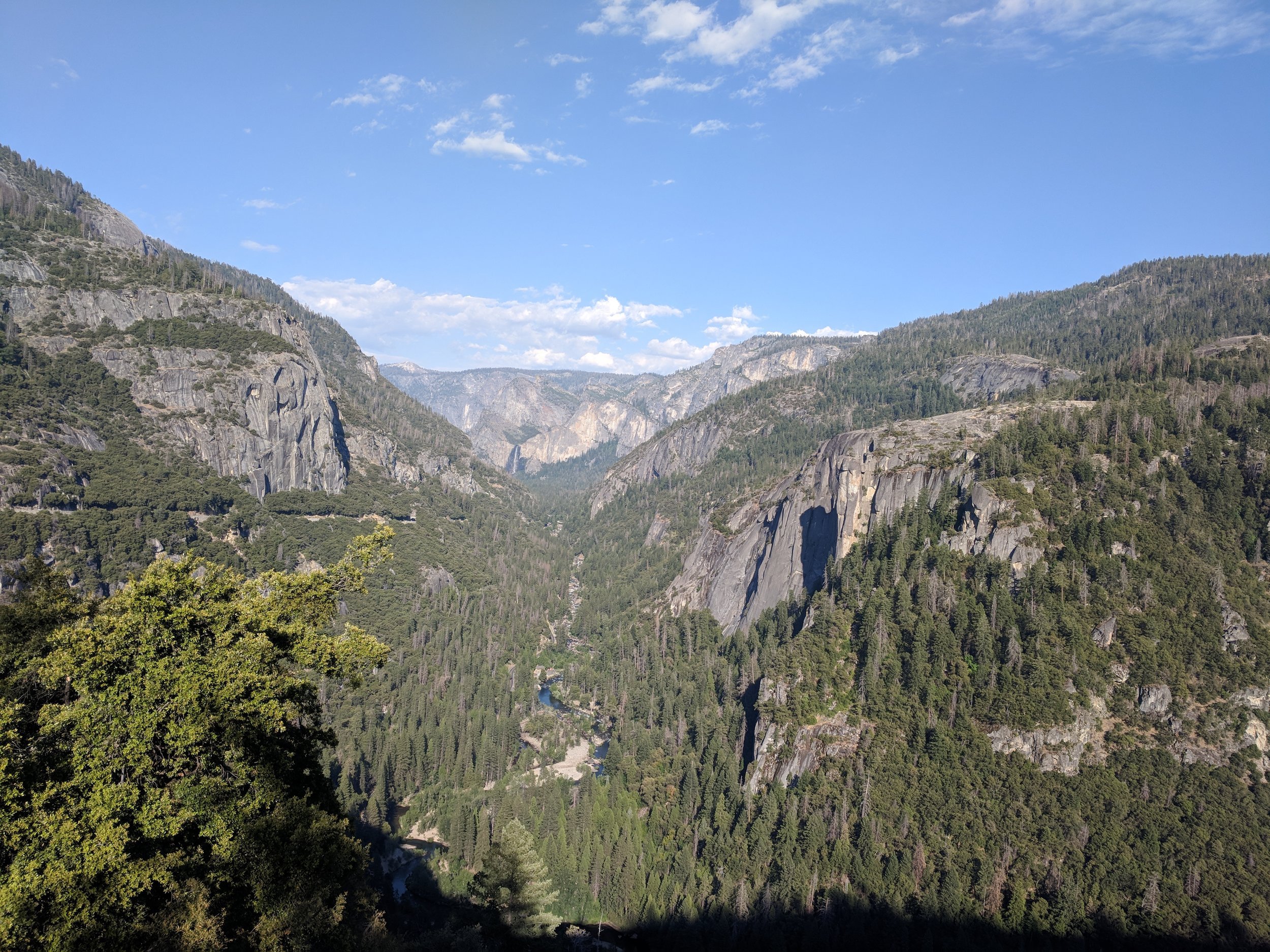 IMG_20180701_180030.jpg