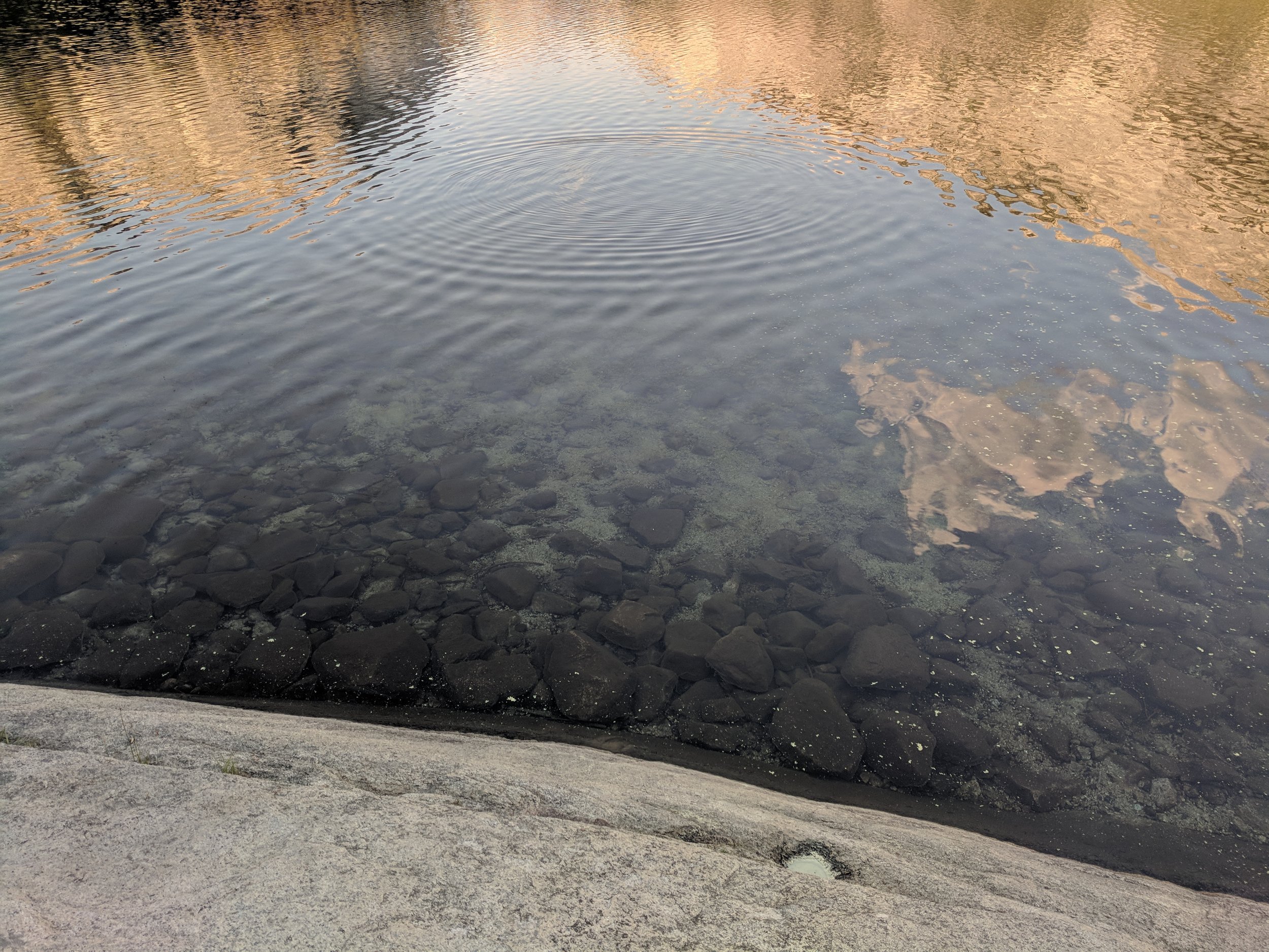 IMG_20180701_191709.jpg