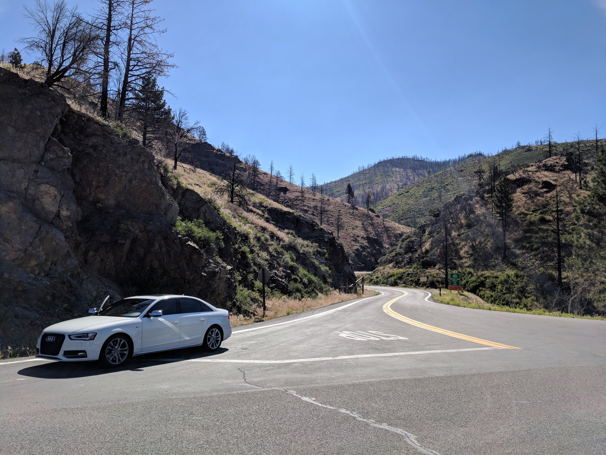 IMG_20180702_092317.jpg