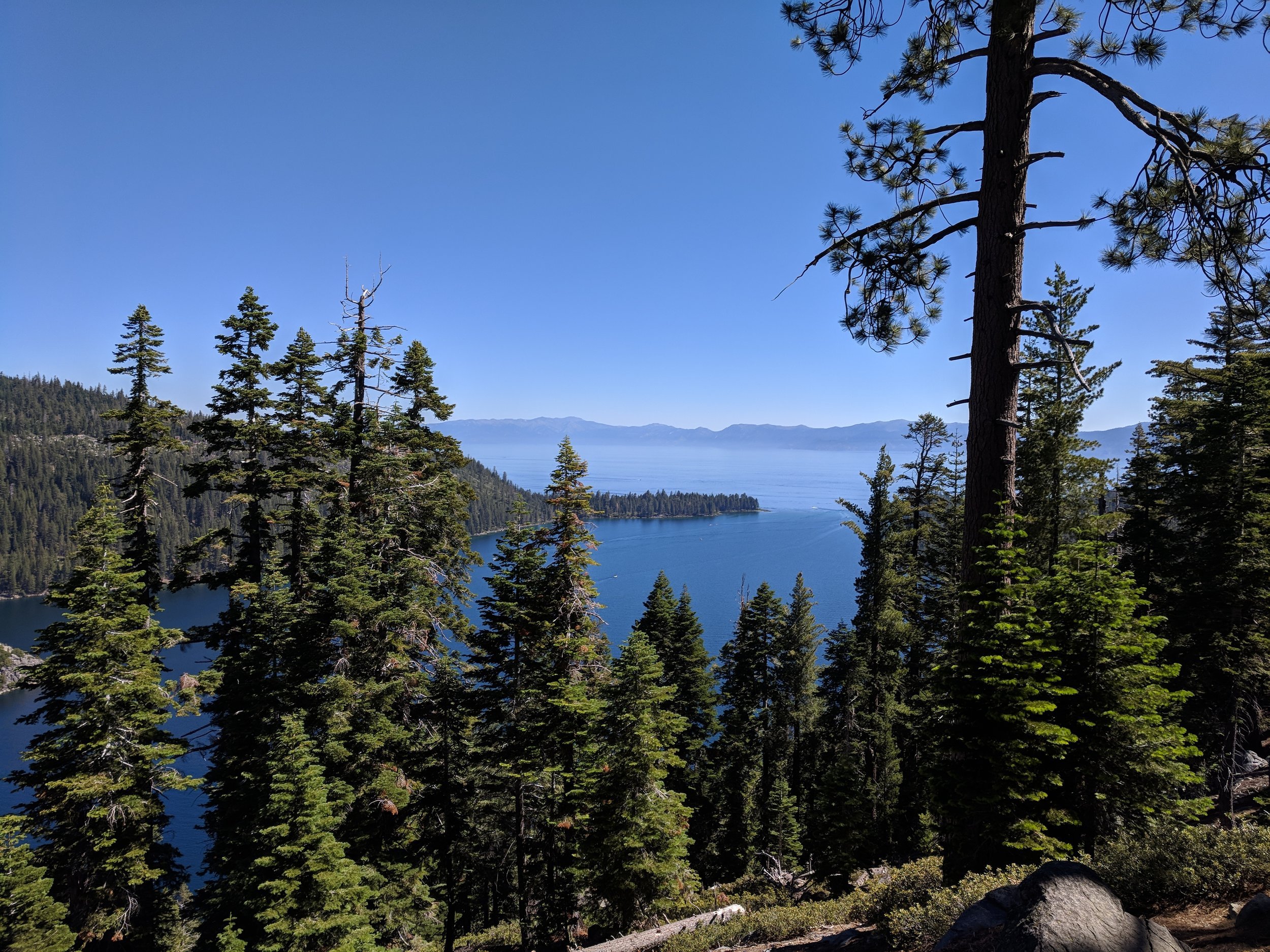 IMG_20180702_102031.jpg