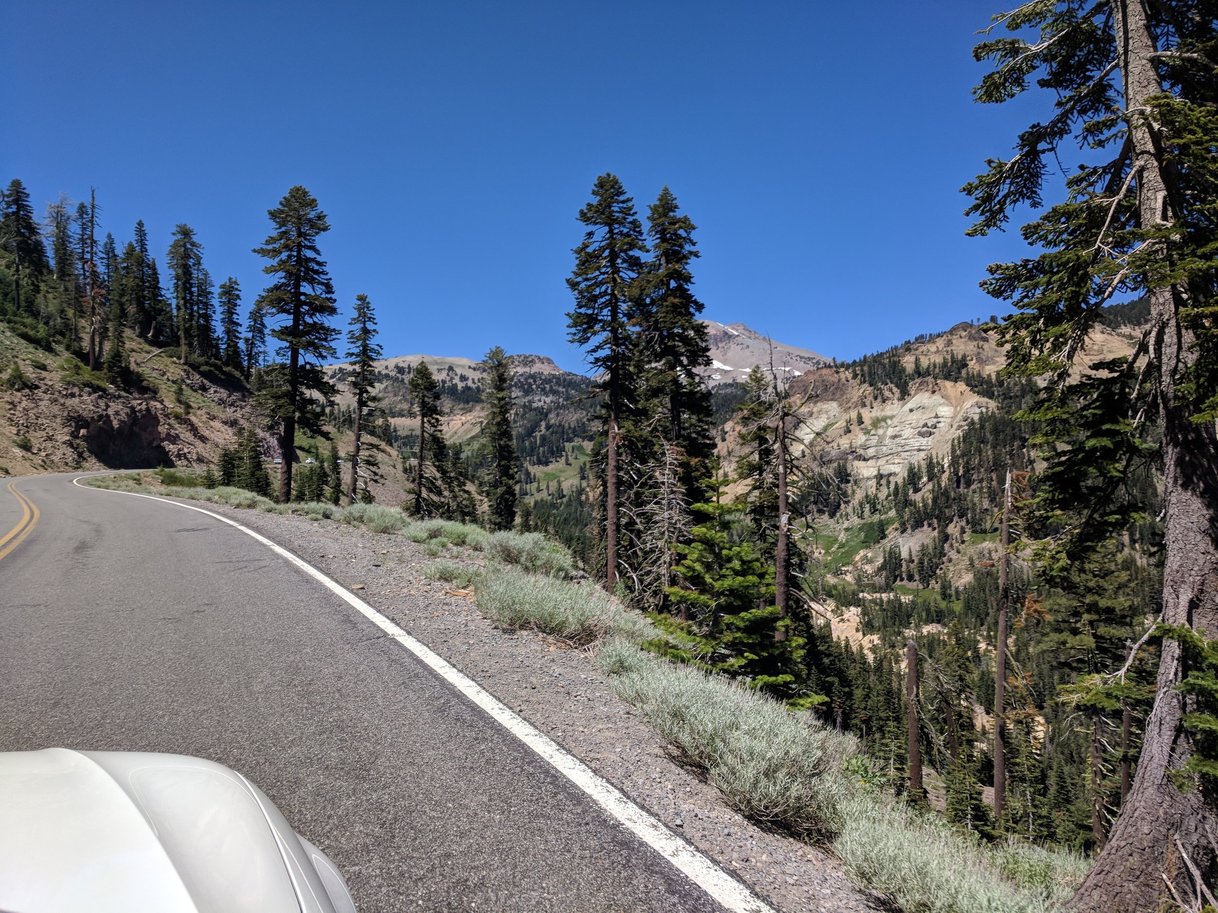 IMG_20180702_143513.jpg