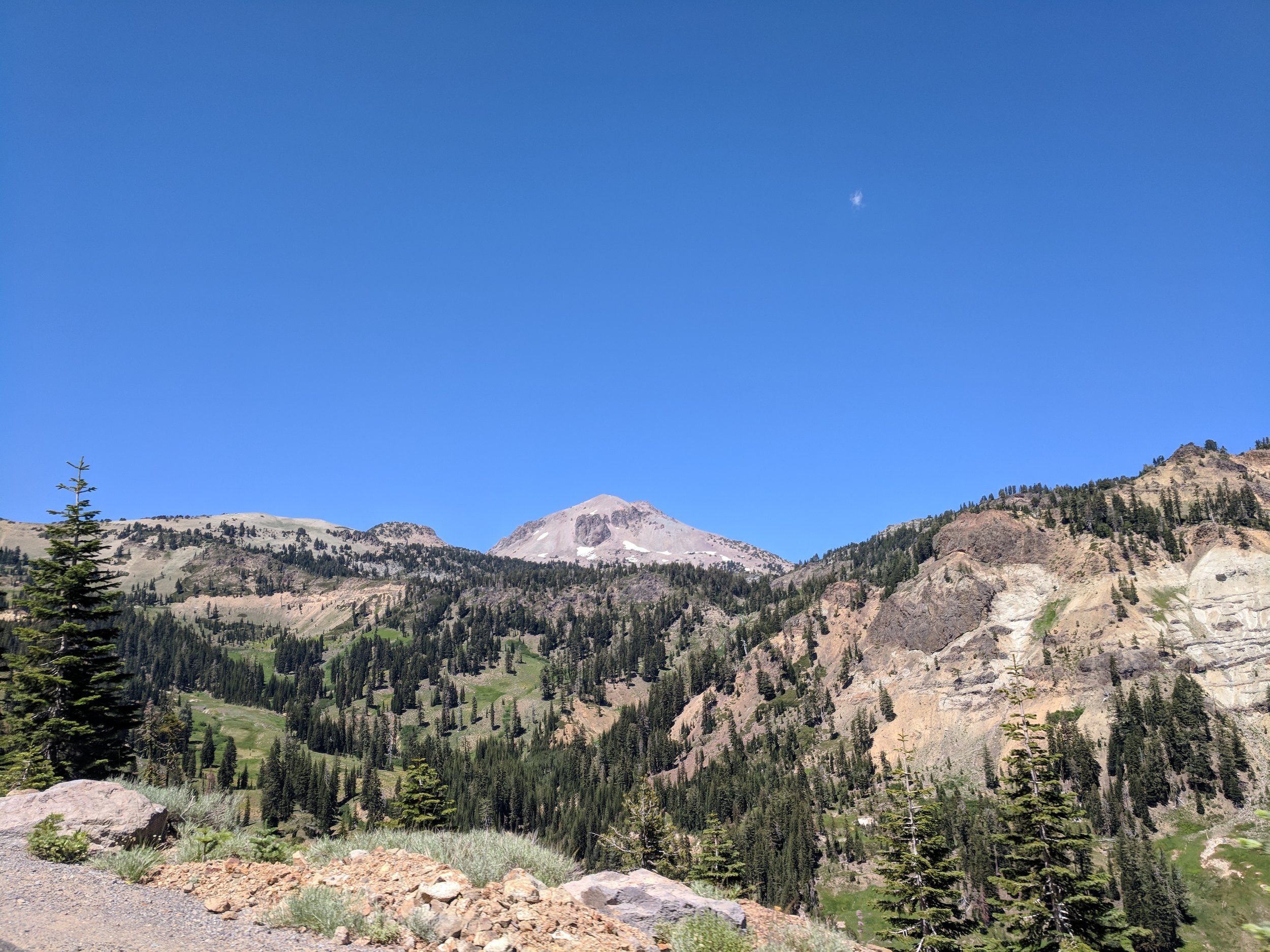 IMG_20180702_143558.jpg