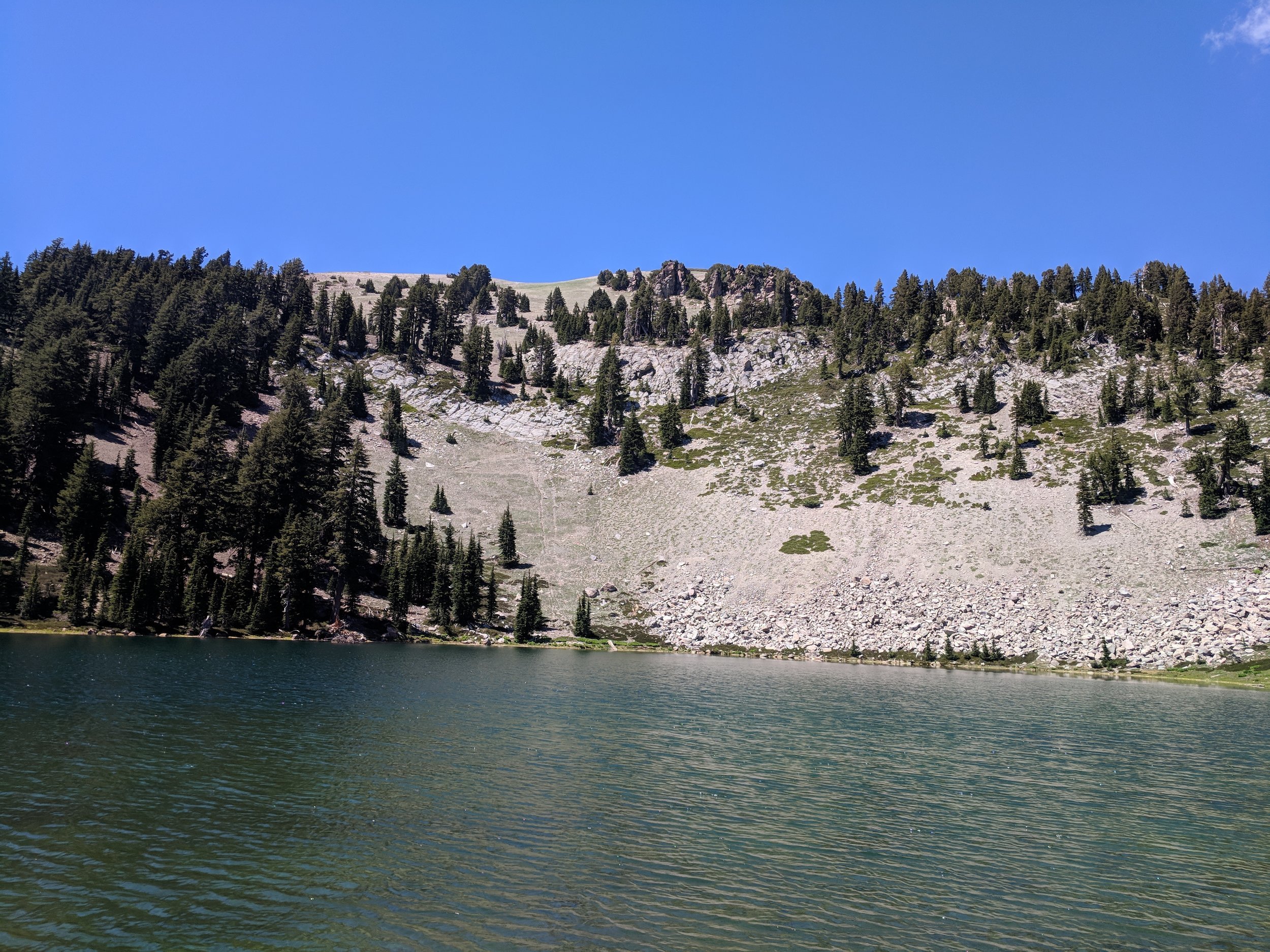 IMG_20180702_144407.jpg