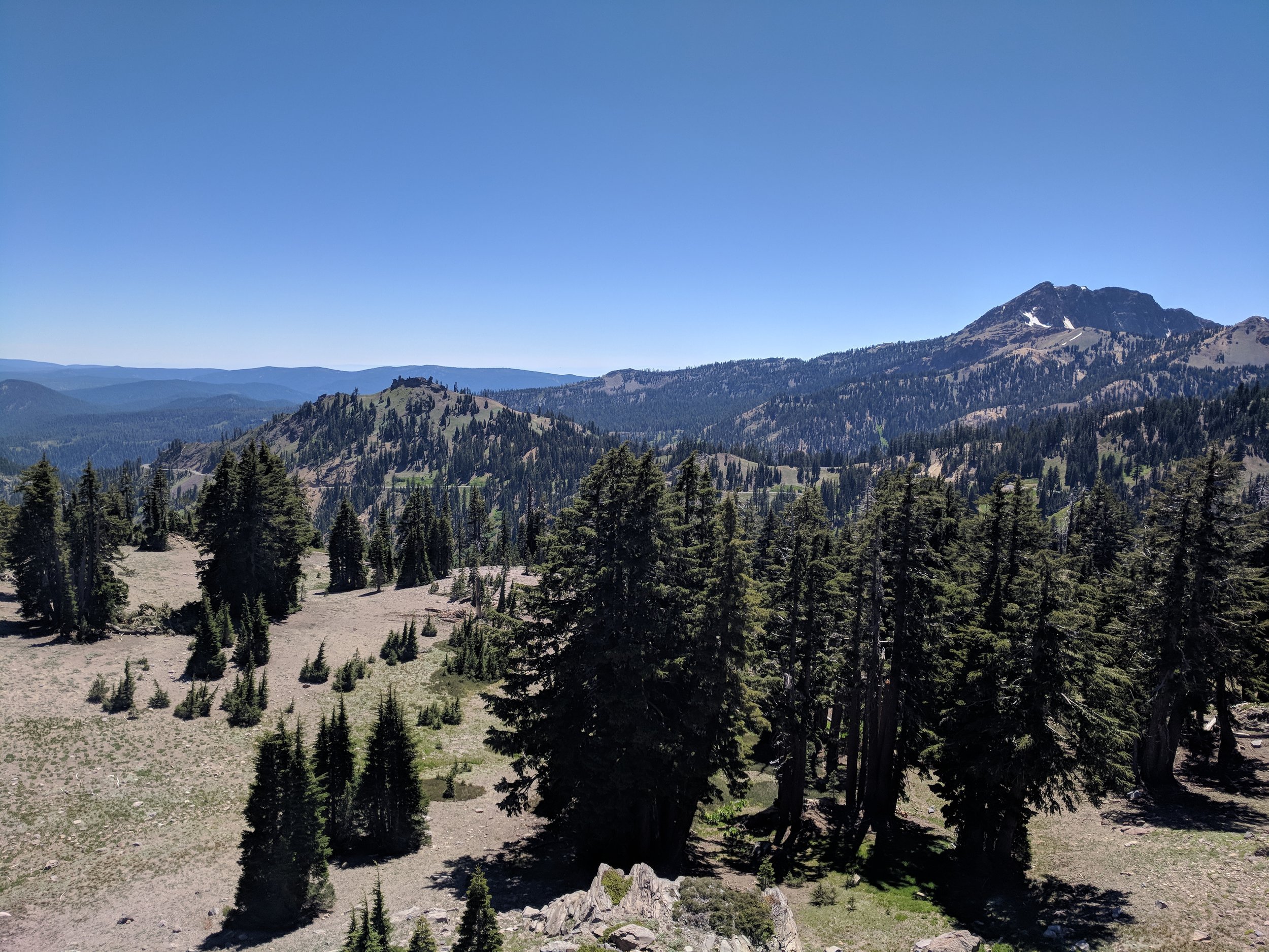 IMG_20180702_144739.jpg