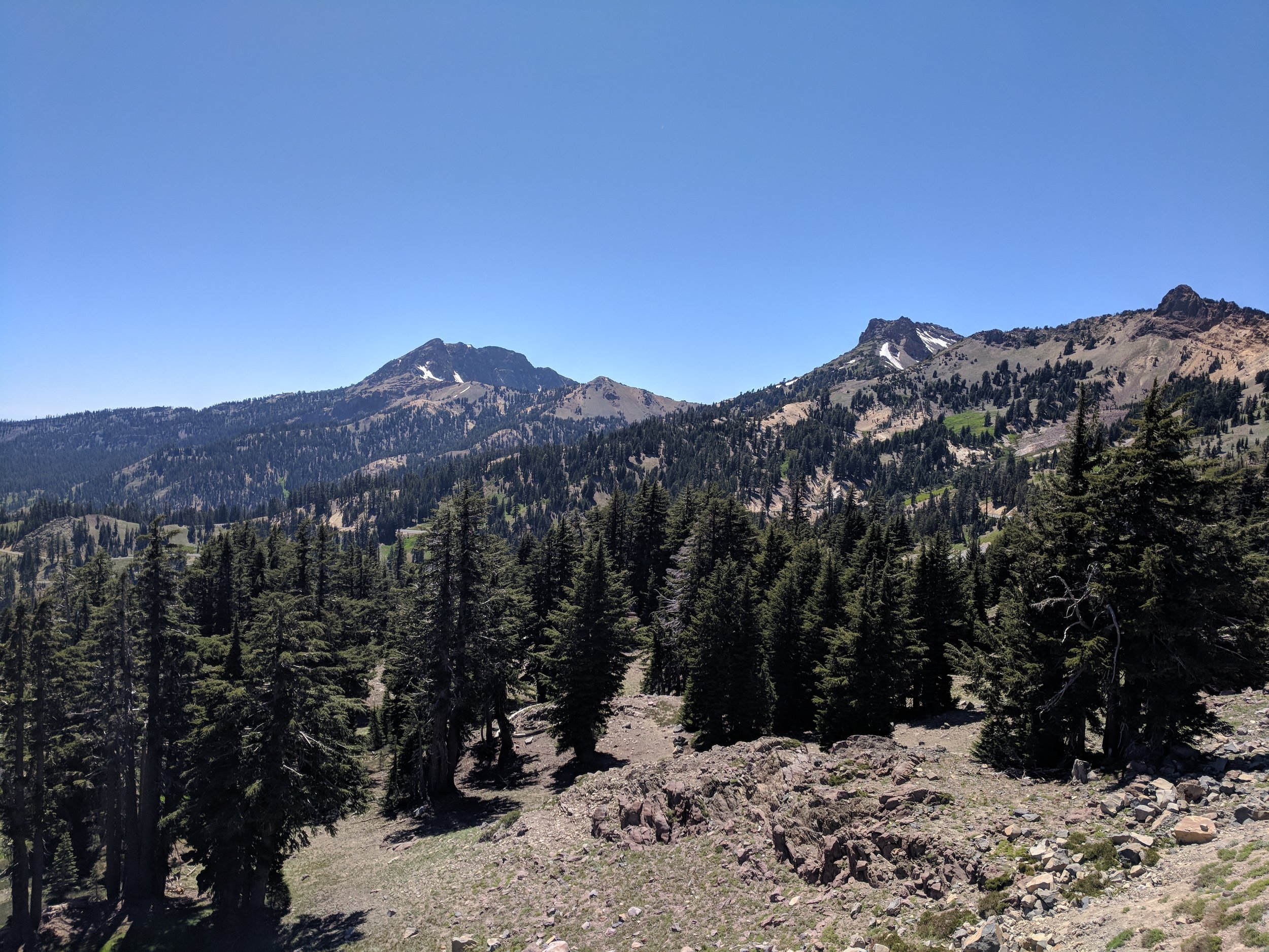 IMG_20180702_144804.jpg
