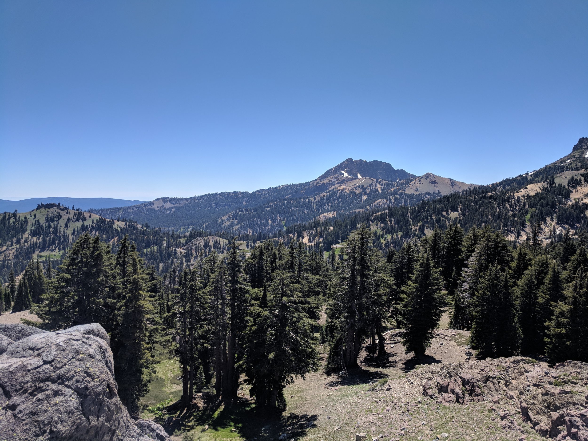 IMG_20180702_144808.jpg