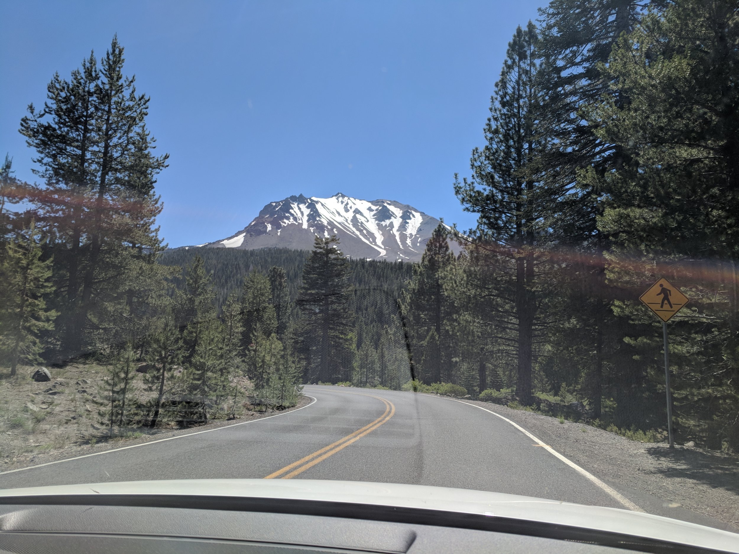 IMG_20180702_151135.jpg