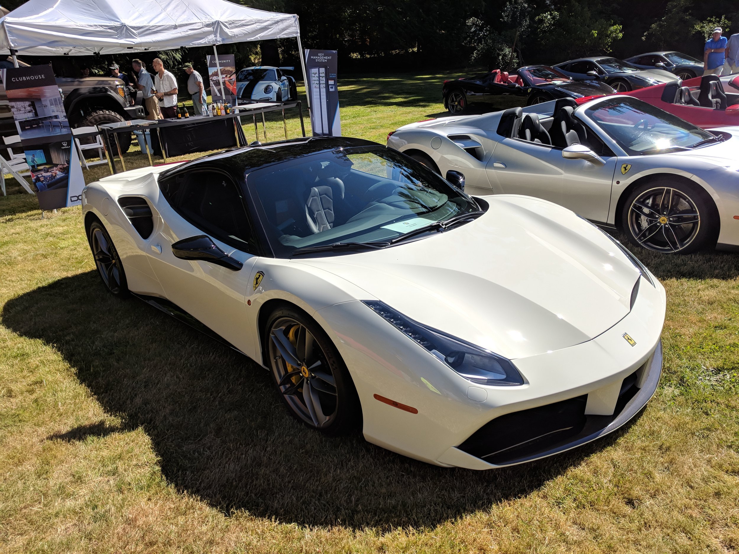 IMG_20180708_095329.jpg