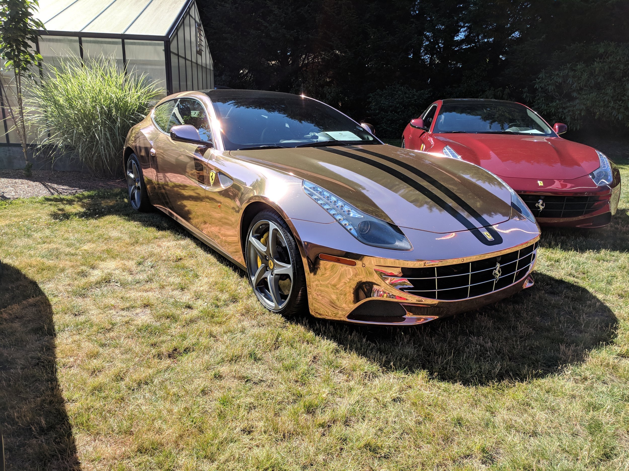 IMG_20180708_100217.jpg