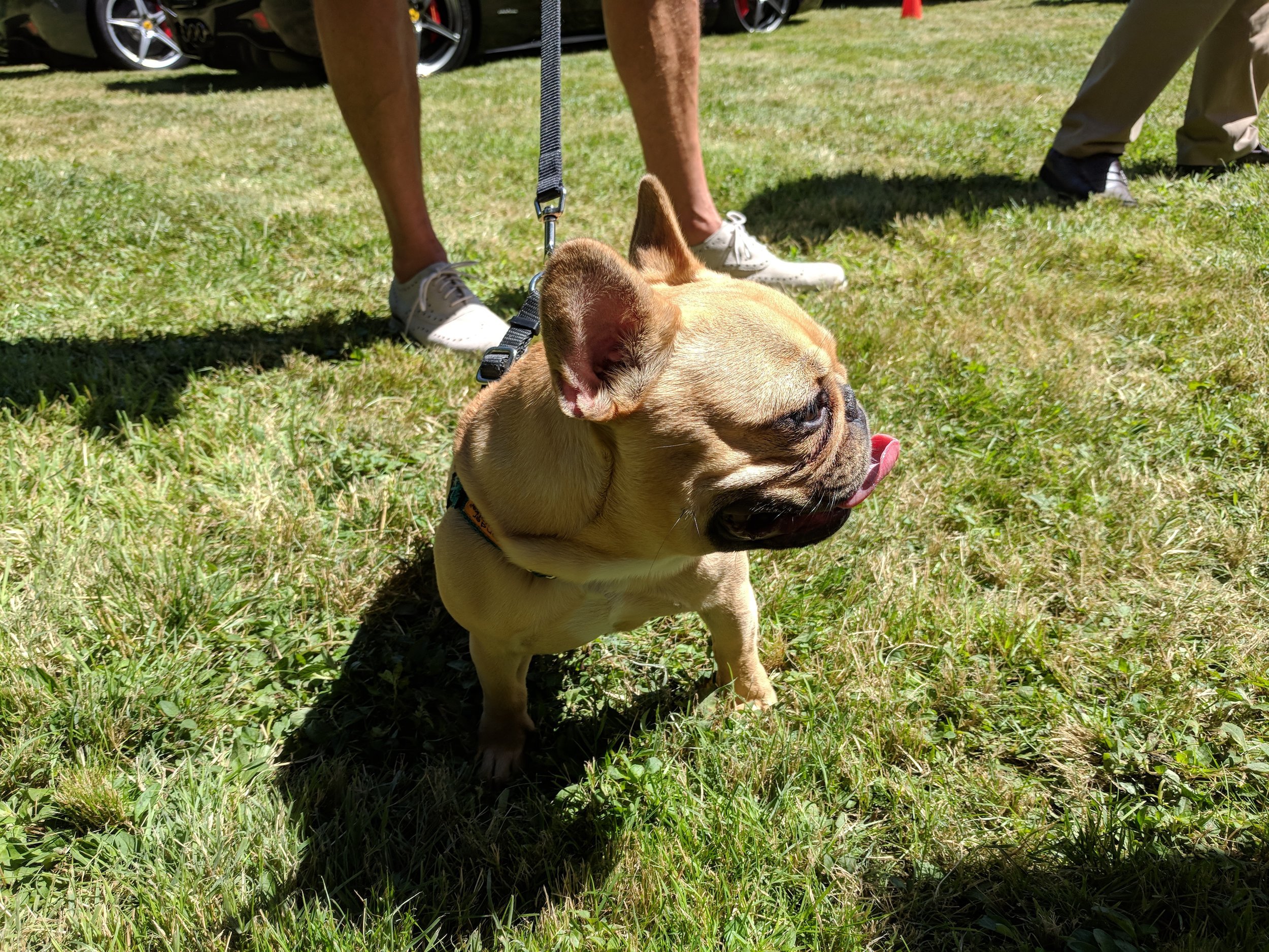 IMG_20180708_144604.jpg