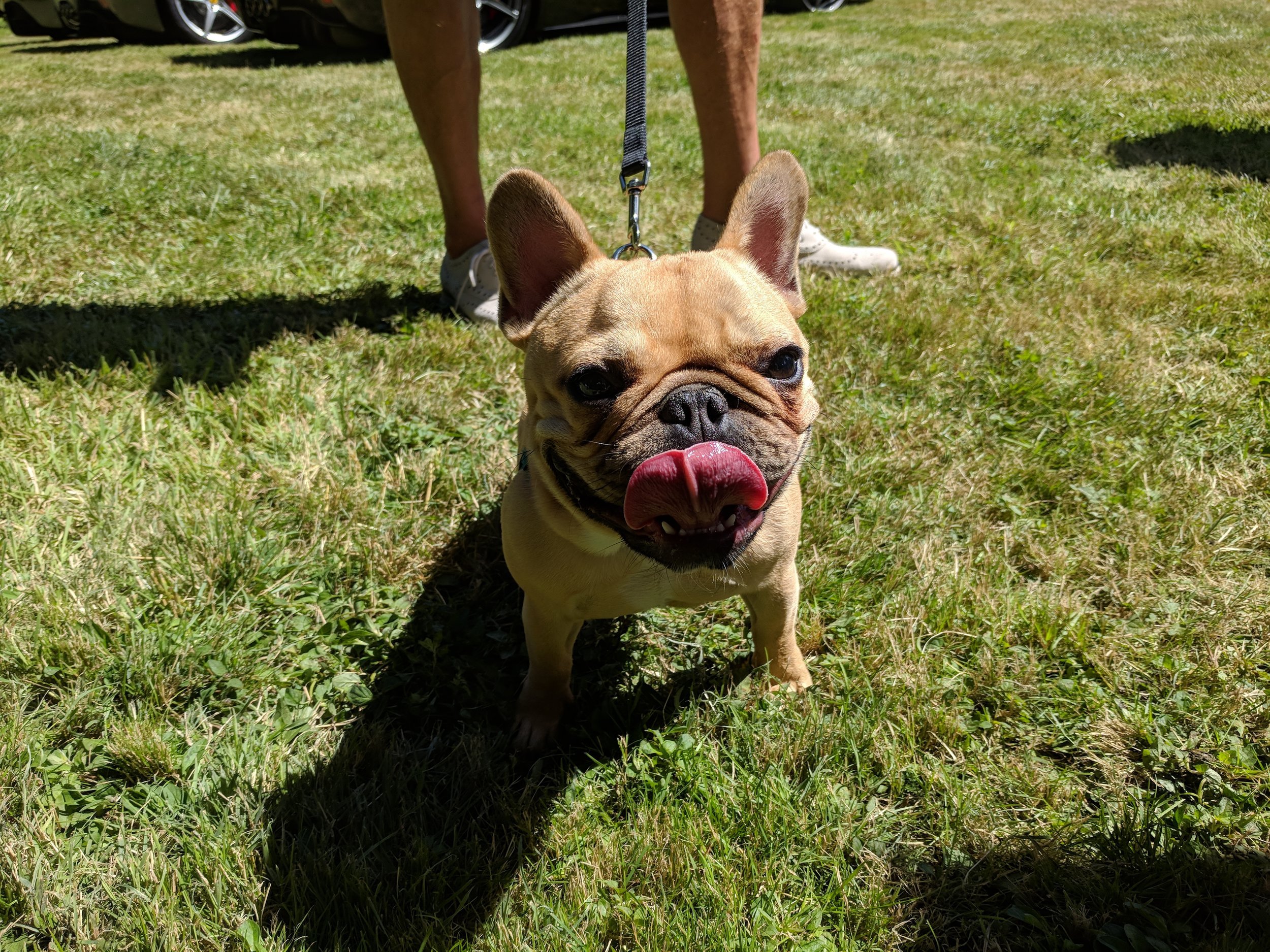 IMG_20180708_144607.jpg