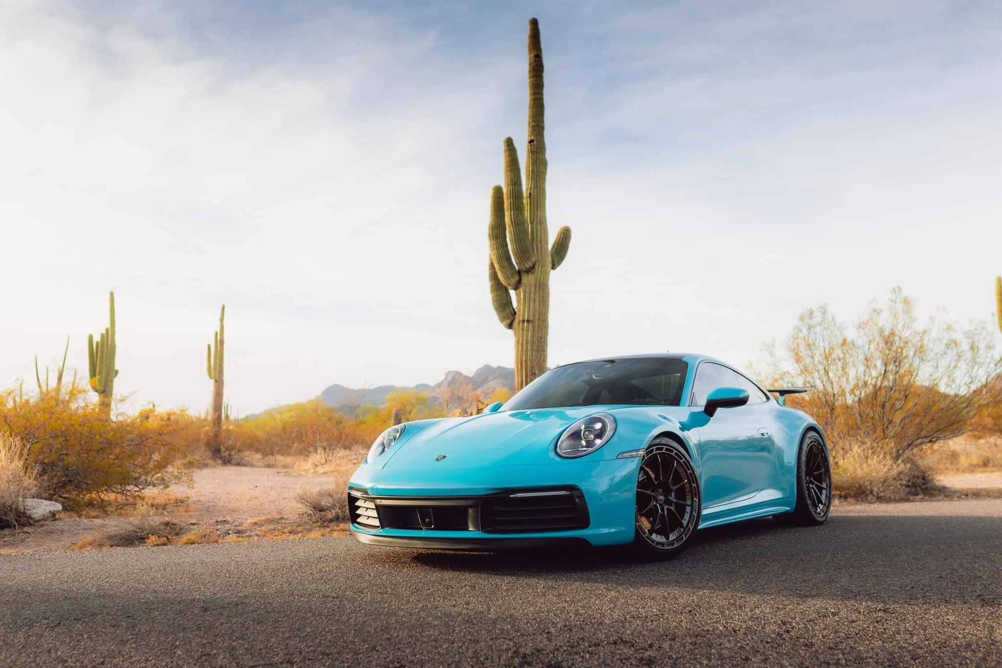 Avants Scottsdale - Director