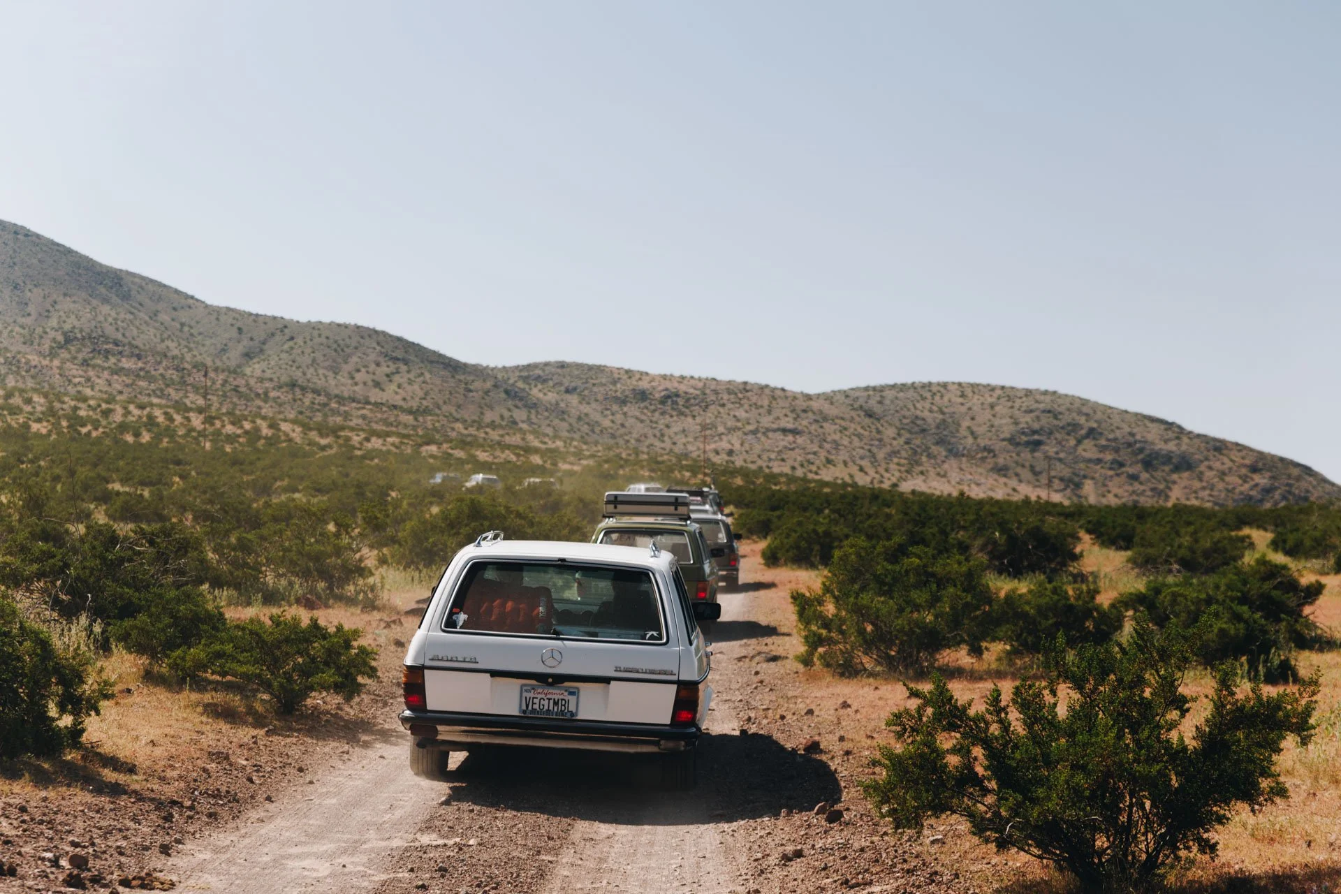 Wagon.SampleSet.150-115.jpg