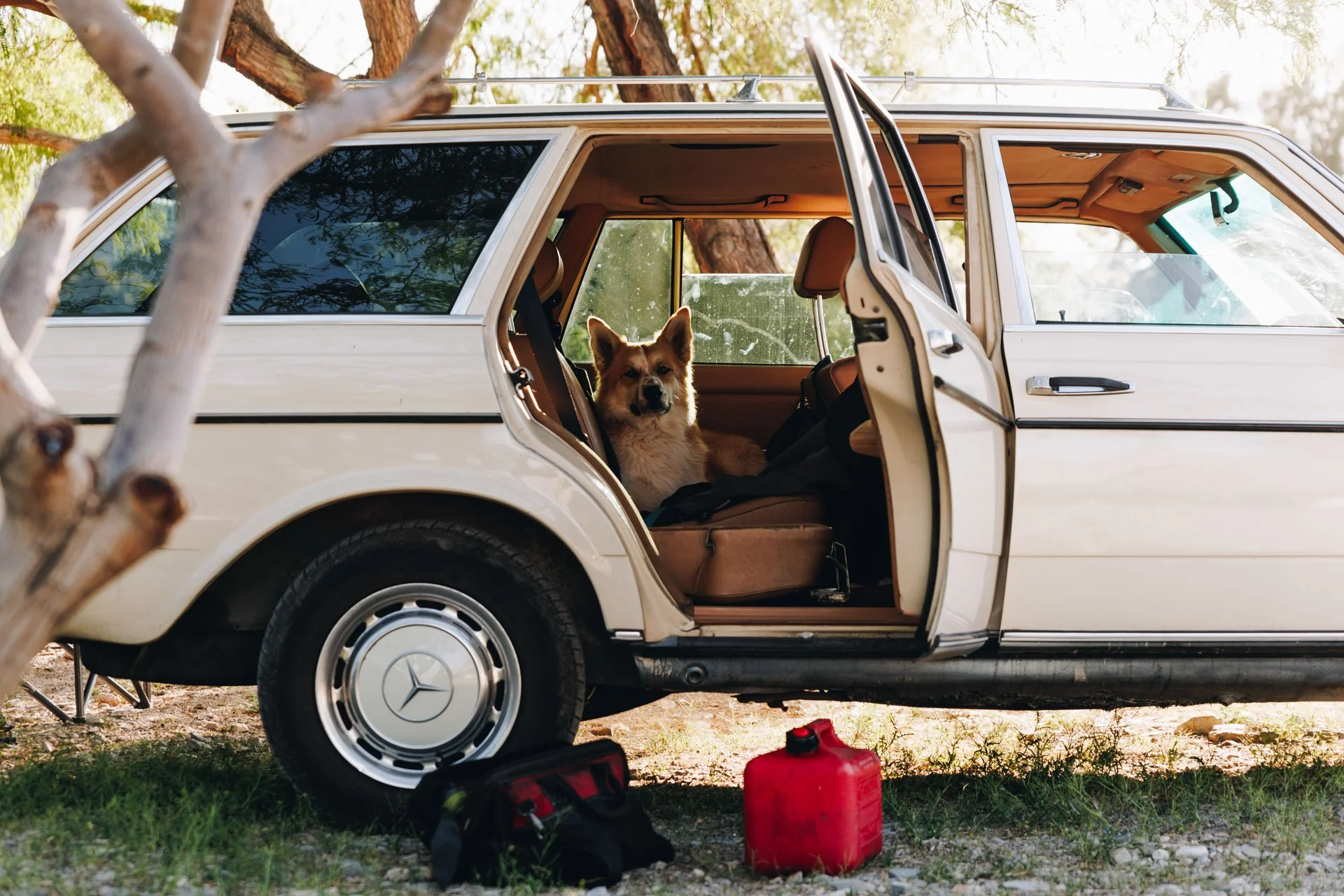 Wagon.SampleSet.150-149.jpg