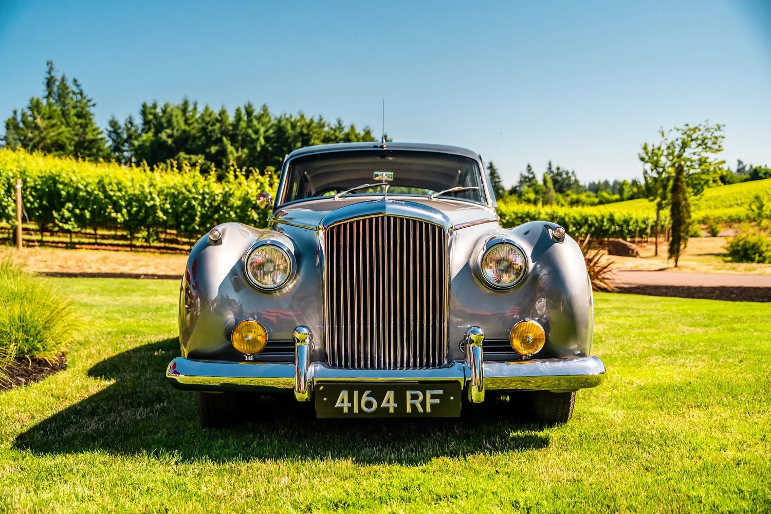 Corks &amp; Cars at Tumwater Vineyard