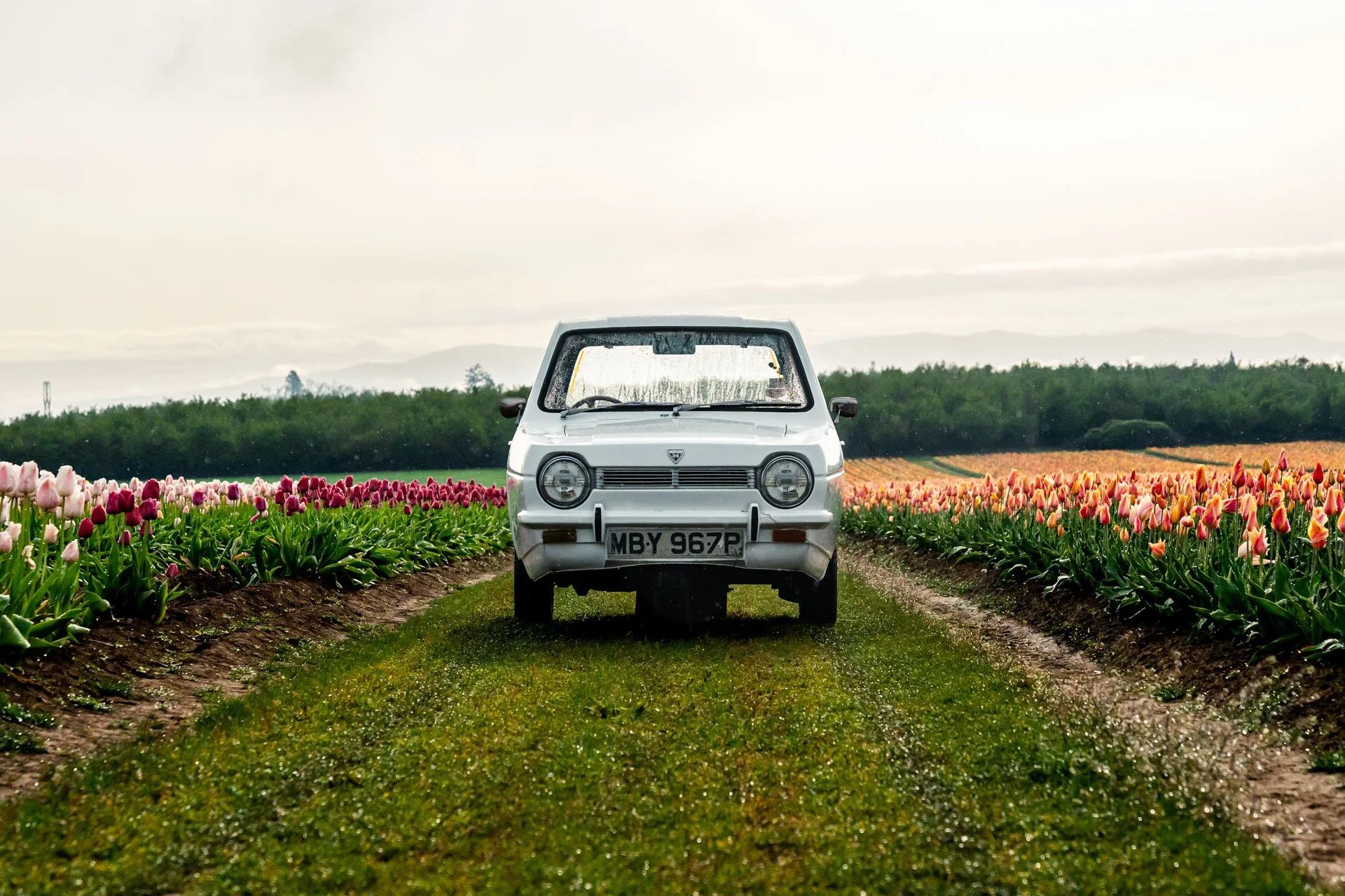 A Three-Wheel Circus